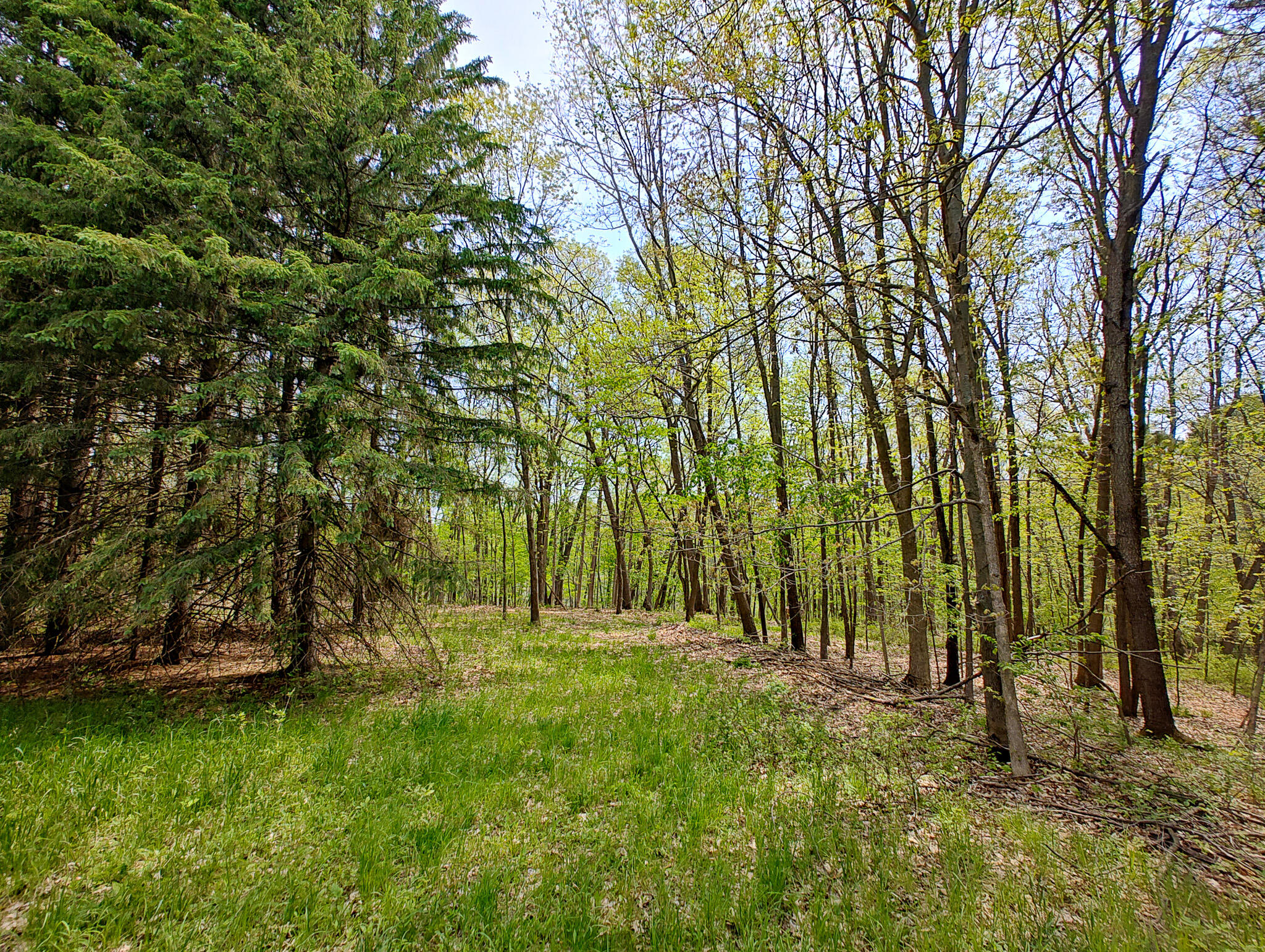 Vl Tipsico Lake Road Parcel B Fenton MI 48430