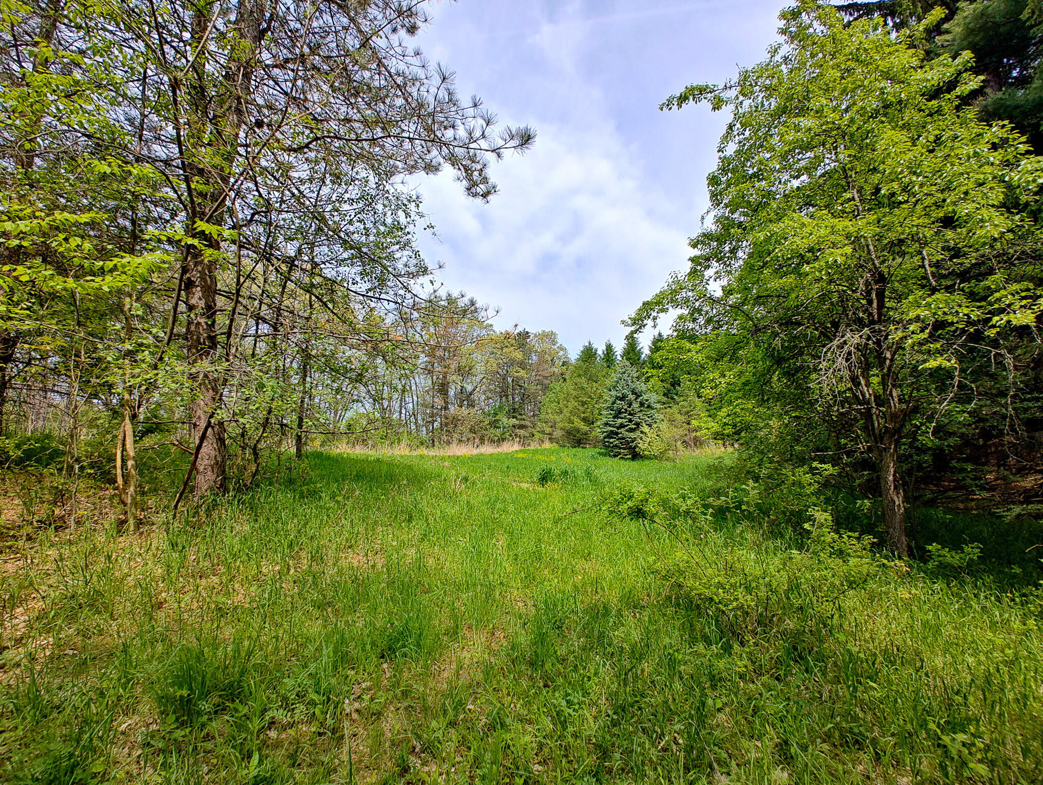 Vl Tipsico Lake Road Parcel B Fenton MI 48430