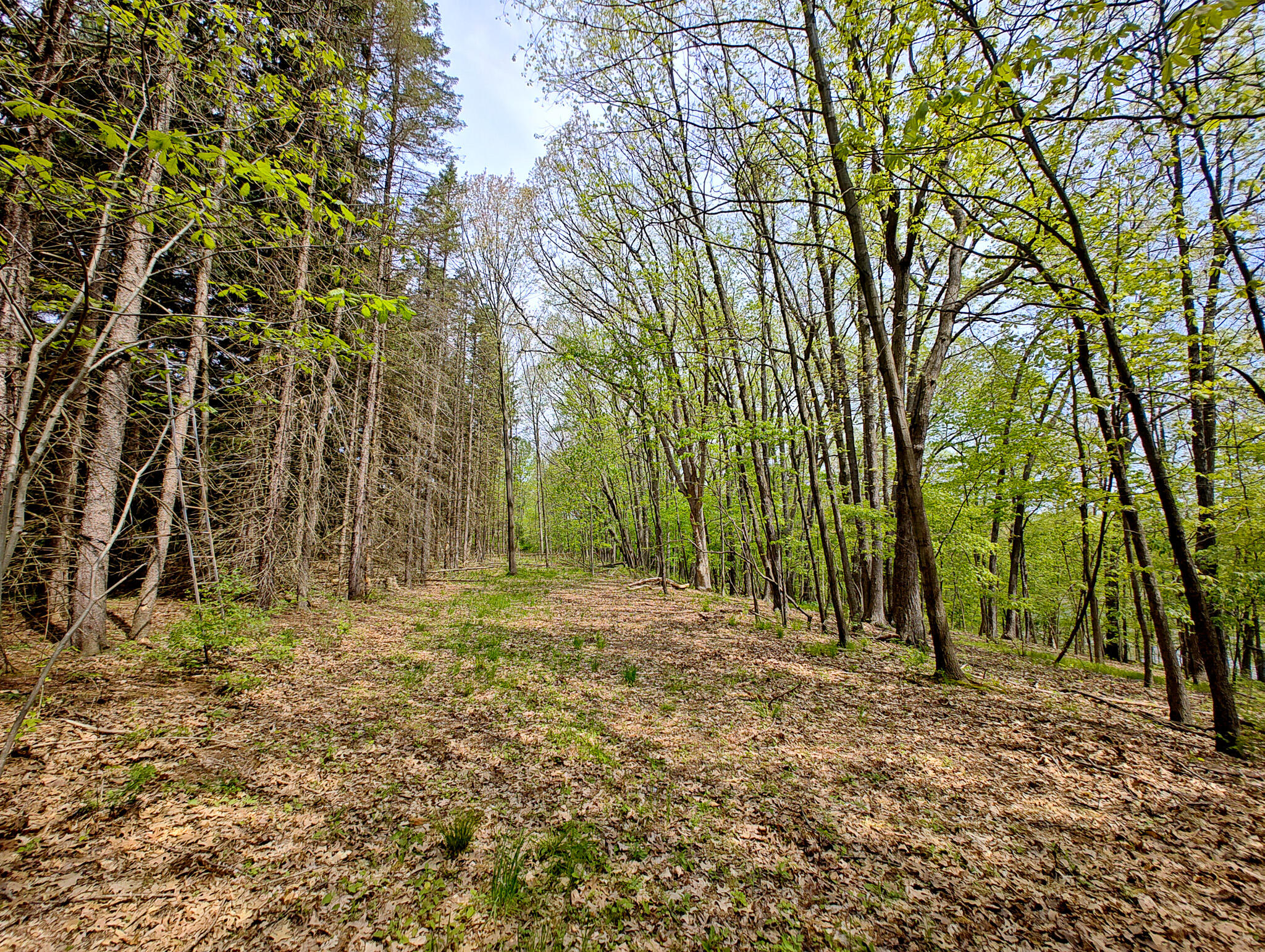 Vl Tipsico Lake Road Parcel B Fenton MI 48430