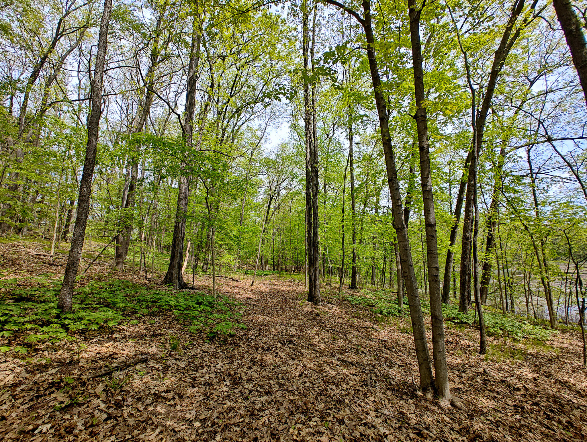 Vl Tipsico Lake Road Parcel B Fenton MI 48430