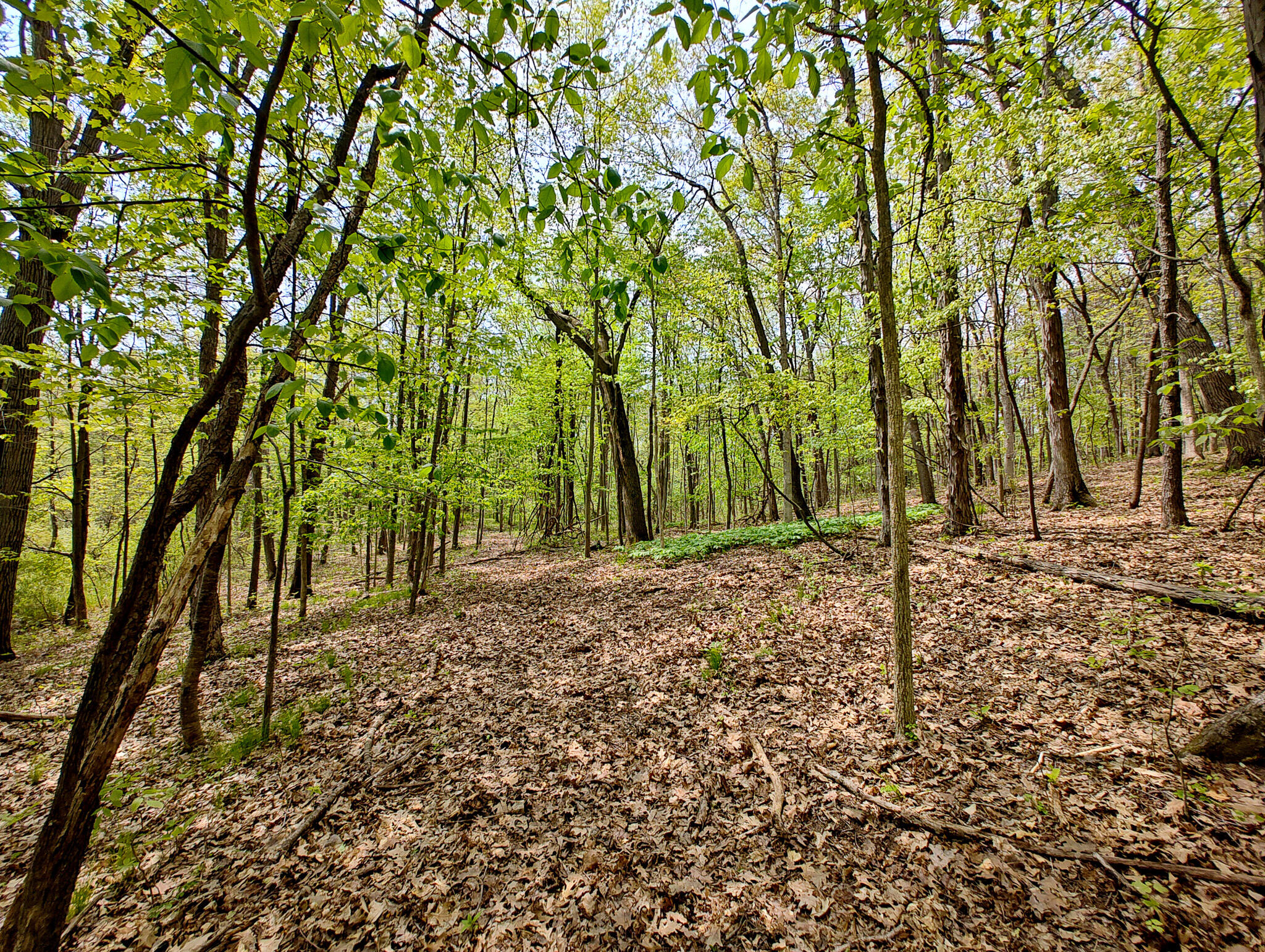Vl Tipsico Lake Road Parcel B Fenton MI 48430