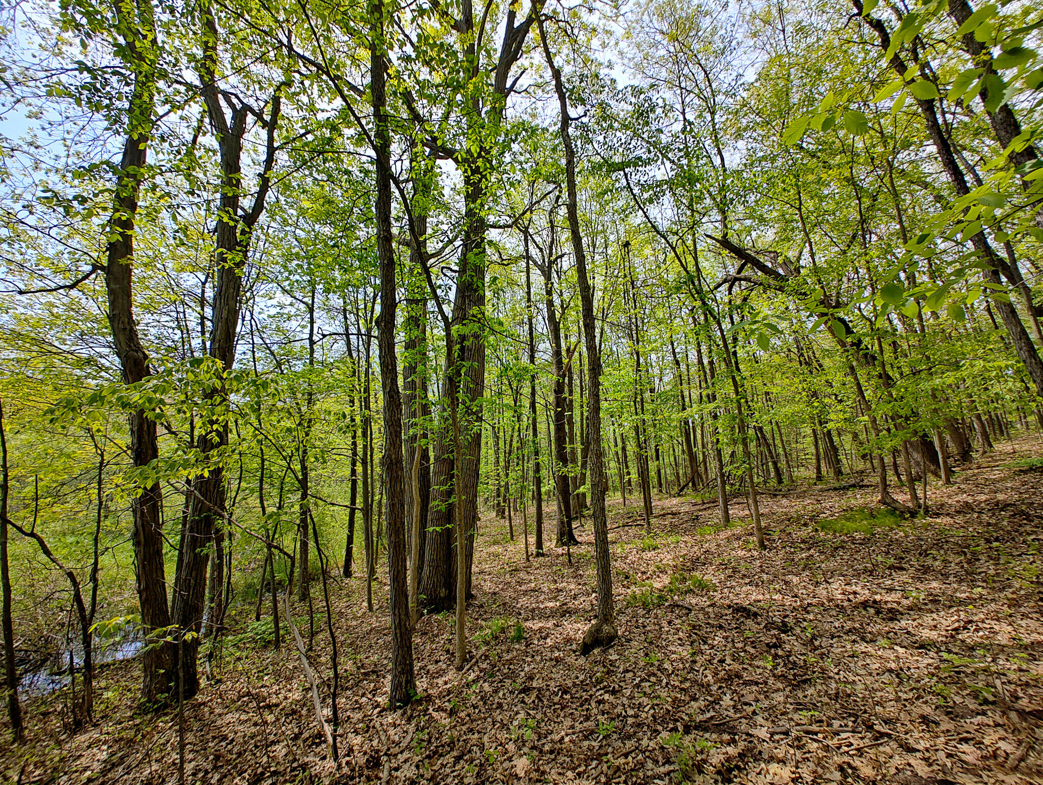 Vl Tipsico Lake Road Parcel B Fenton MI 48430