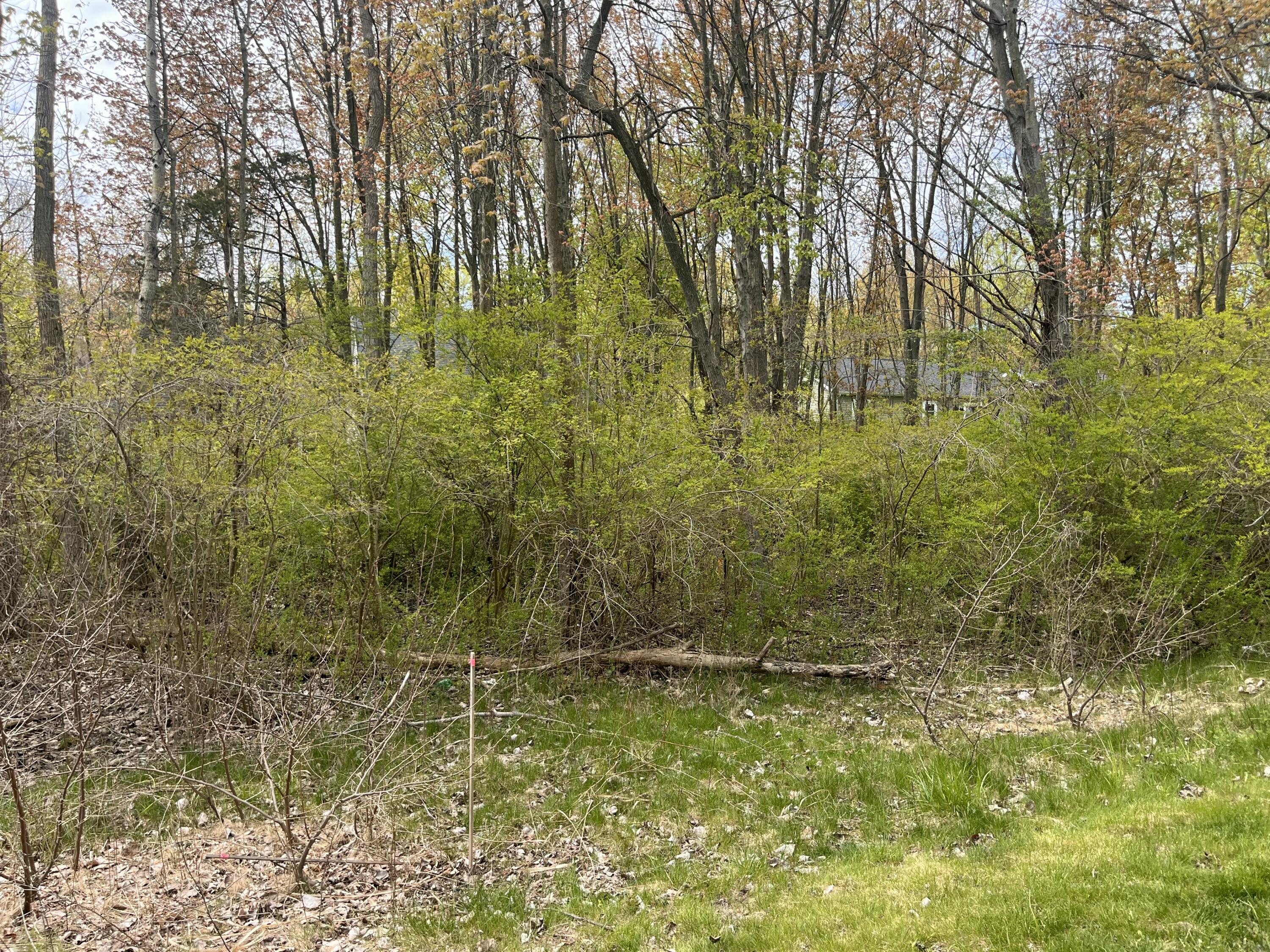 V/l Lakeview Avenue South Haven MI 49090