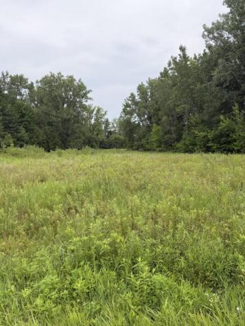 W. Linco Road - Parcel #2-b Stevensville MI 49127