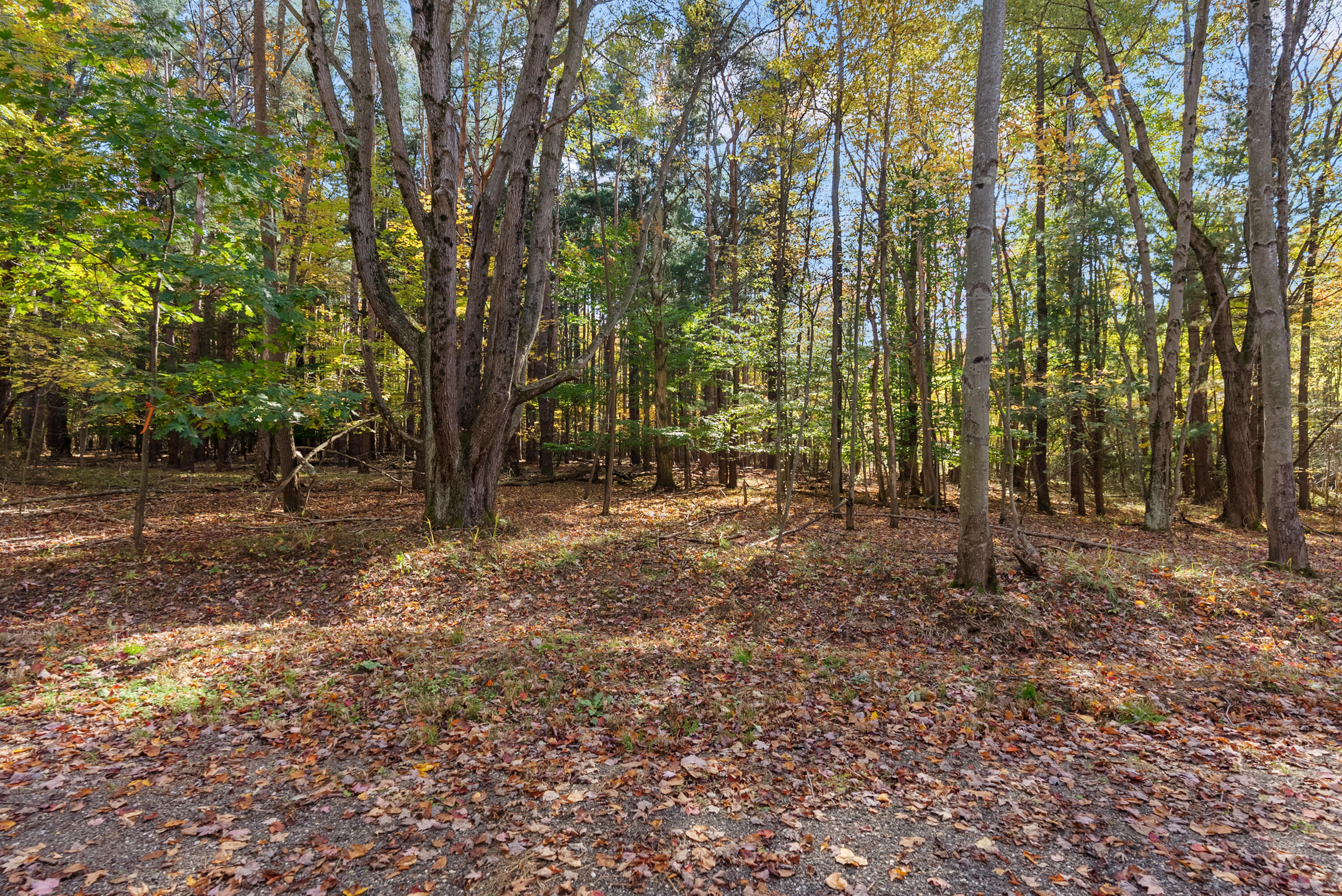 Lot 5 Christopher Court South Haven MI 49090