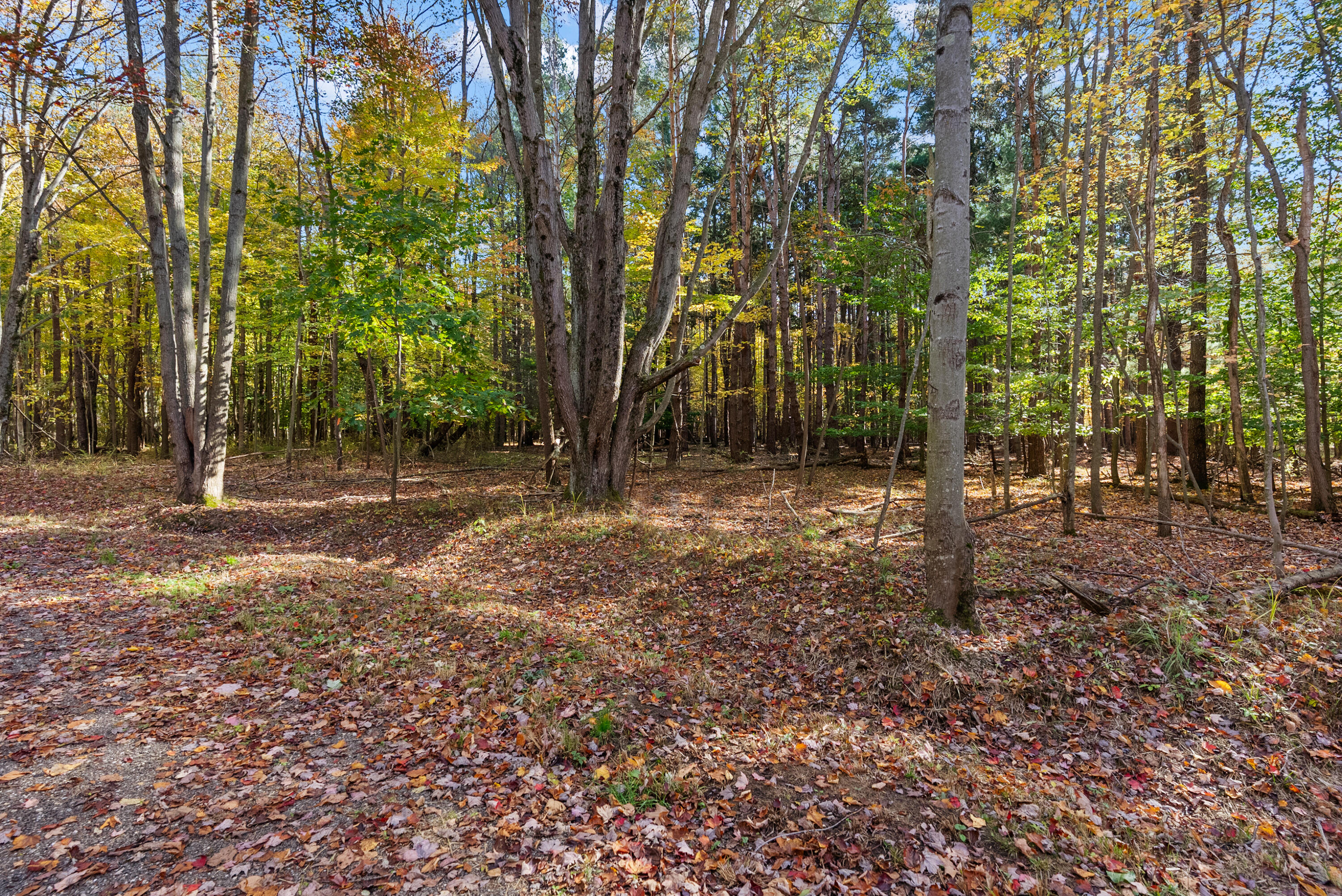 Lot 5 Christopher Court South Haven MI 49090