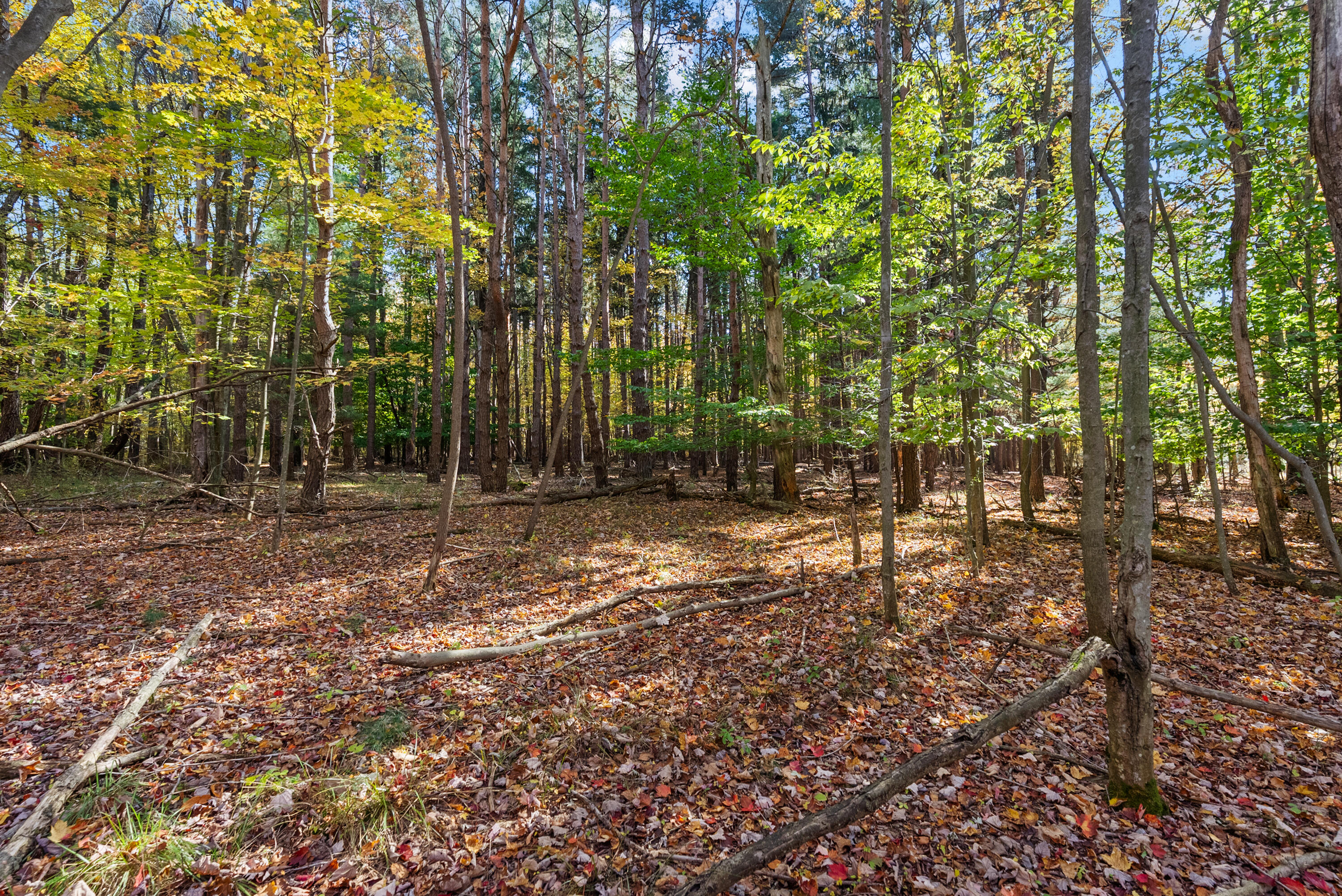Lot 5 Christopher Court South Haven MI 49090