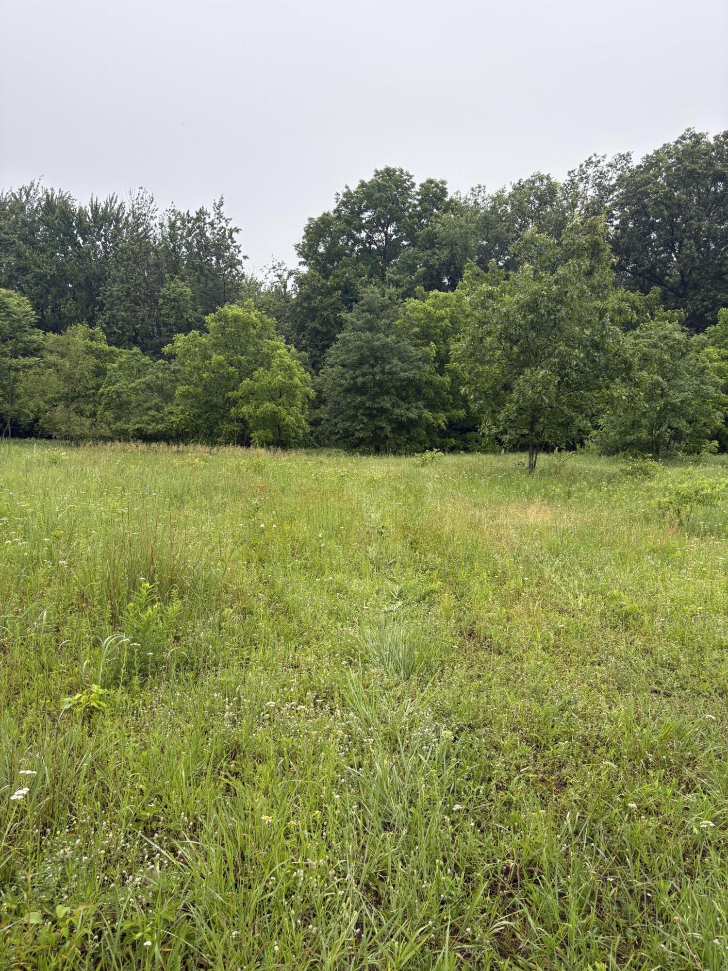 69704 Garver Lake Road Edwardsburg MI 49112