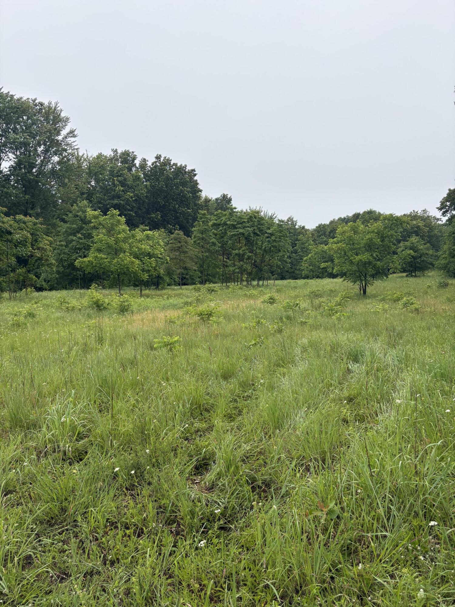 69704 Garver Lake Road Edwardsburg MI 49112