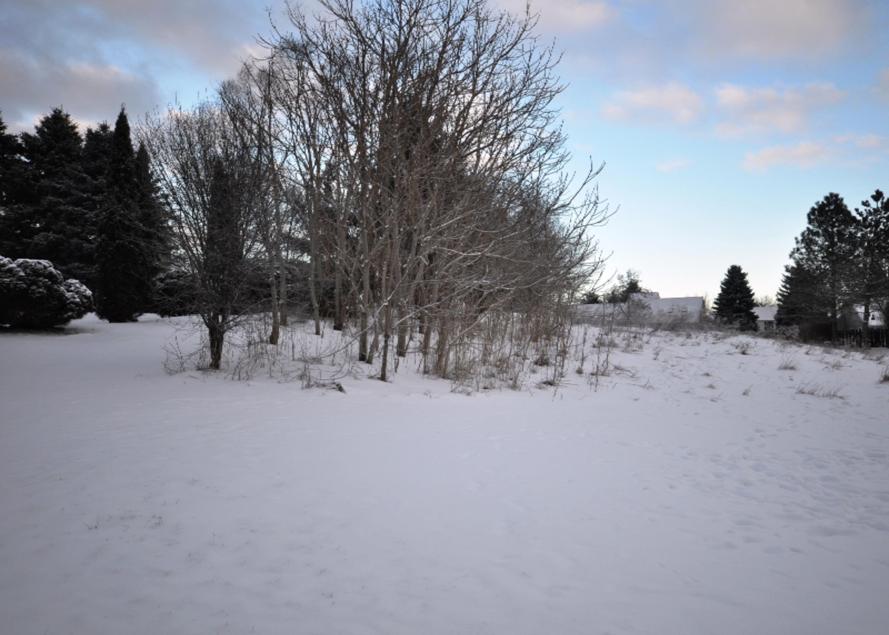 2924 Hunters Hill Kalamazoo MI 49048