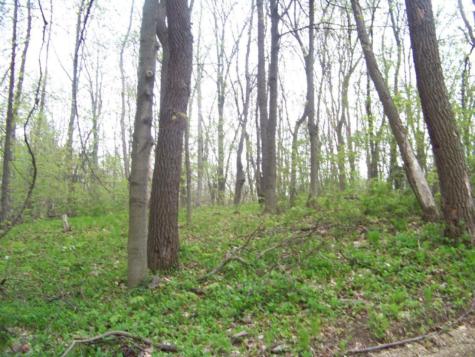5575 Hagar Place Coloma MI 49038