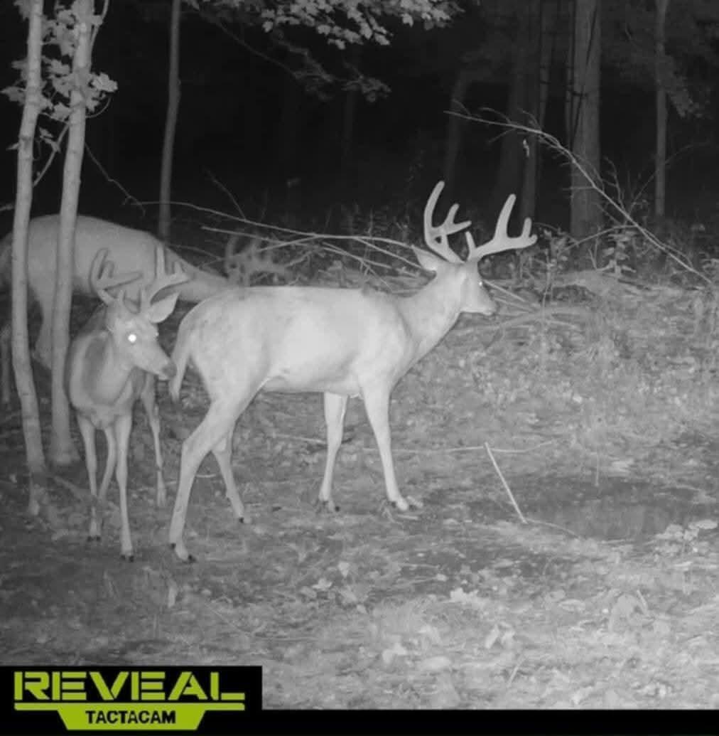 51133 Creglow Road Marcellus MI 49067