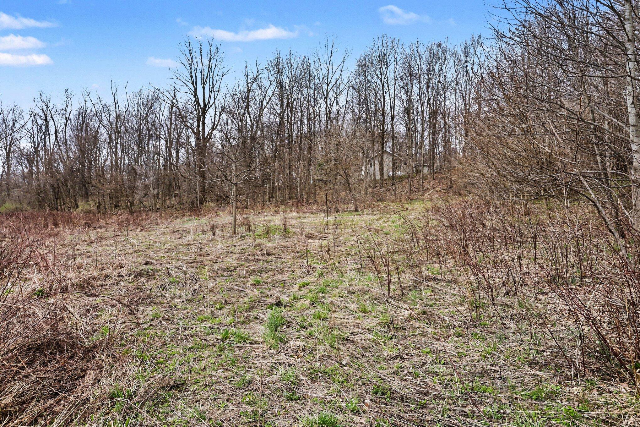 19579 Dutch Settlement Street Cassopolis MI 49031
