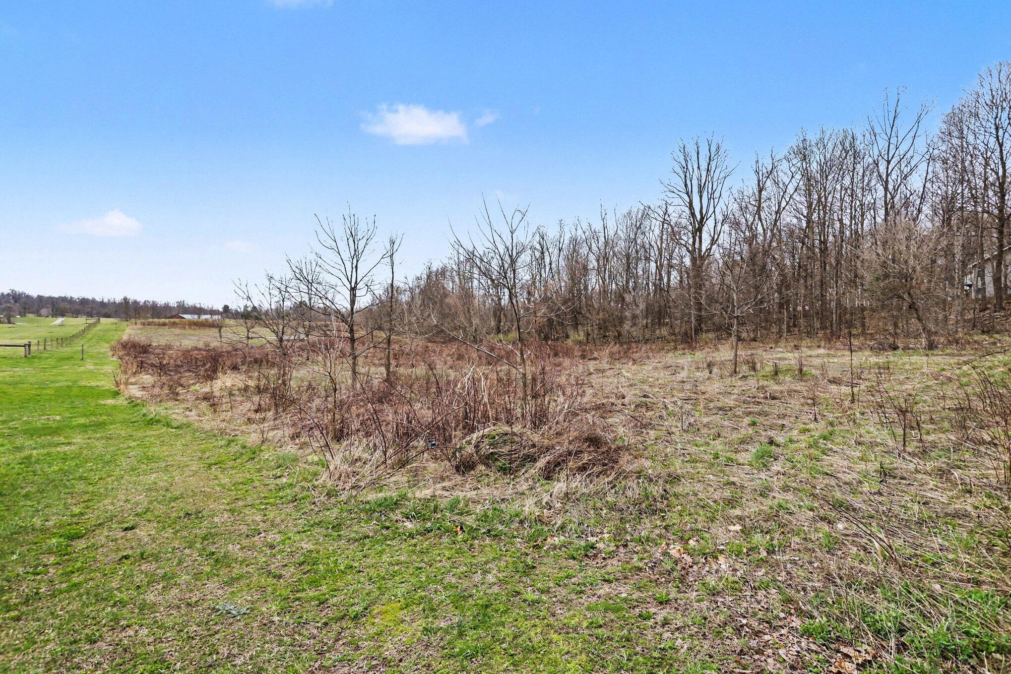 19579 Dutch Settlement Street Cassopolis MI 49031