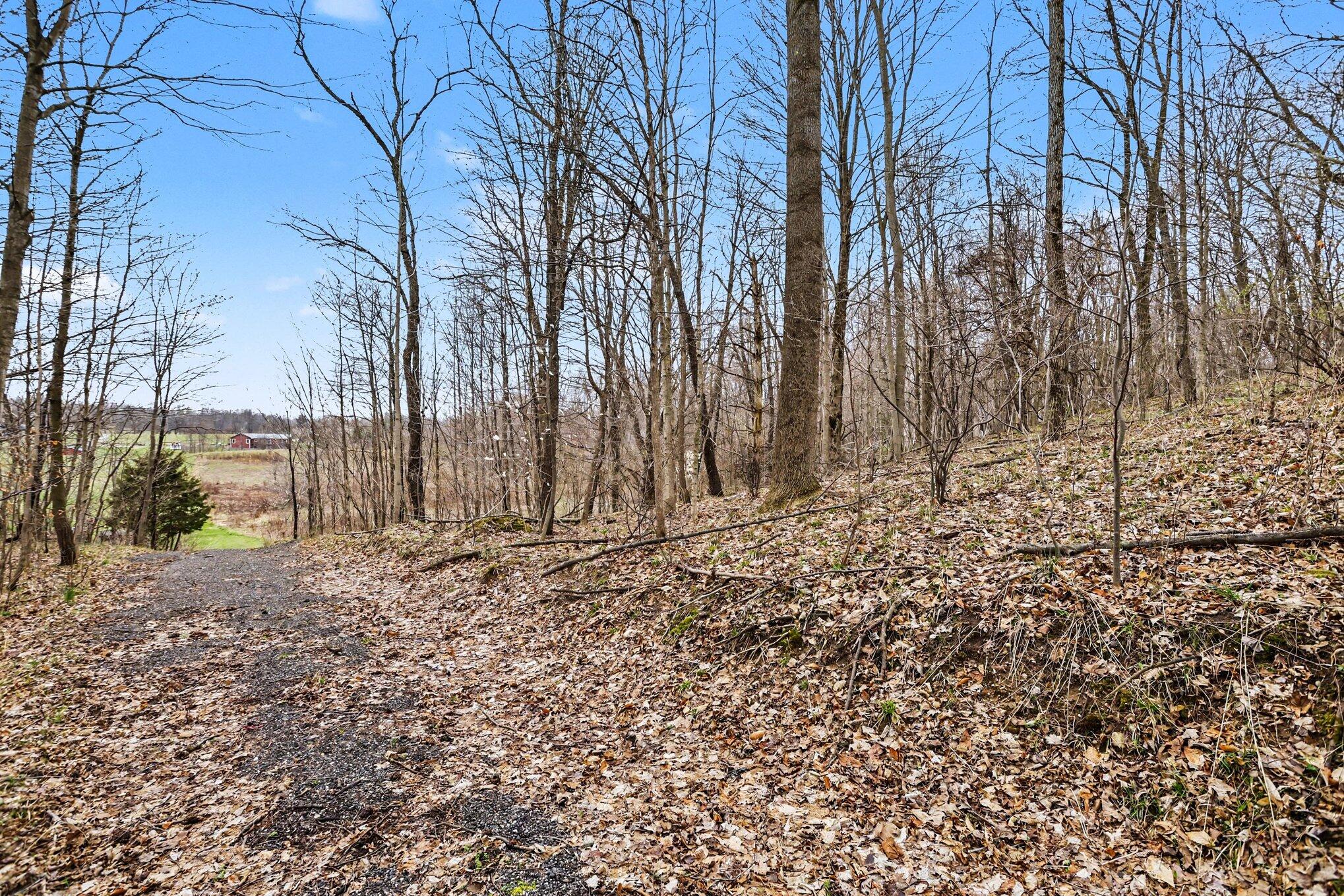 19579 Dutch Settlement Street Cassopolis MI 49031