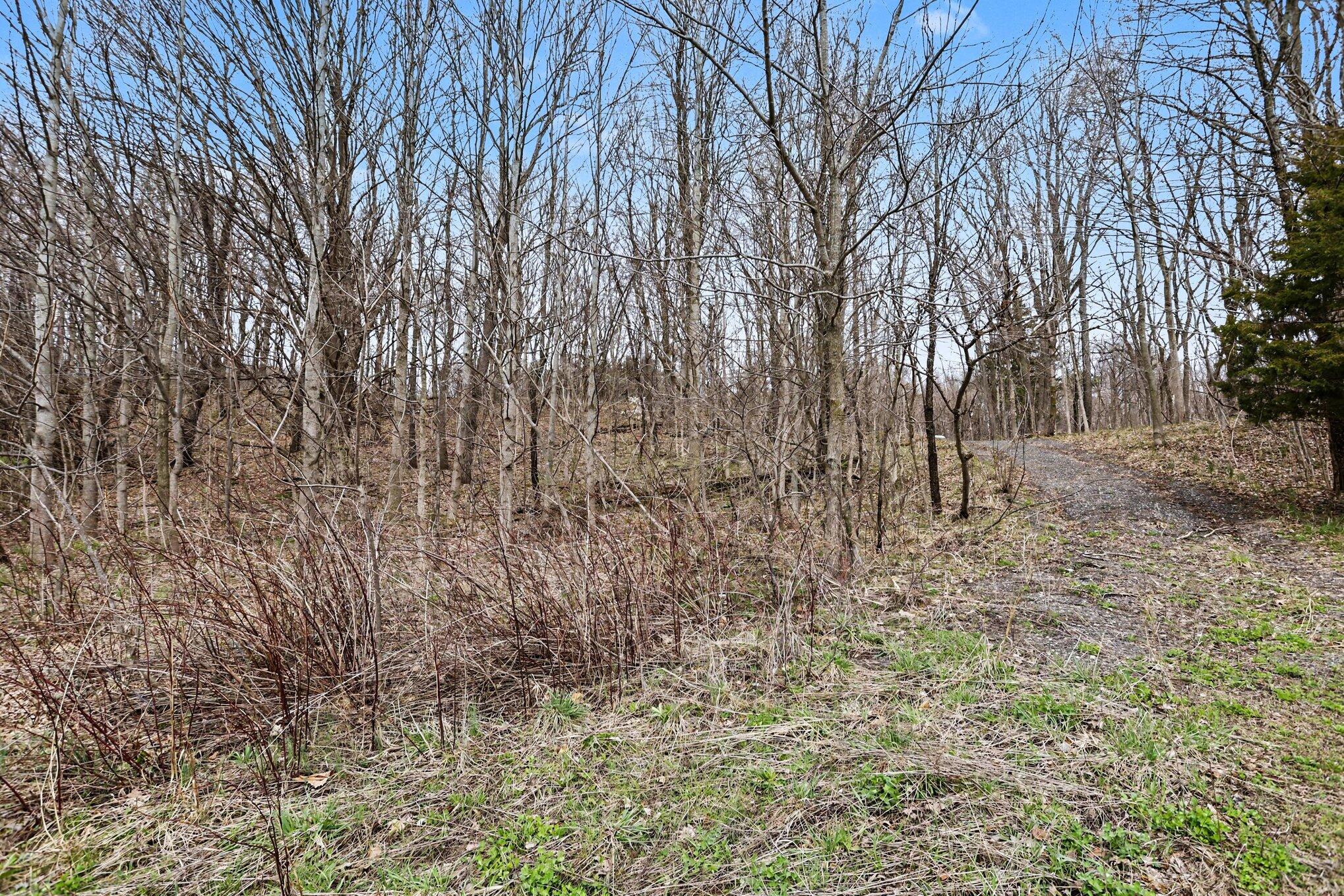 19579 Dutch Settlement Street Cassopolis MI 49031