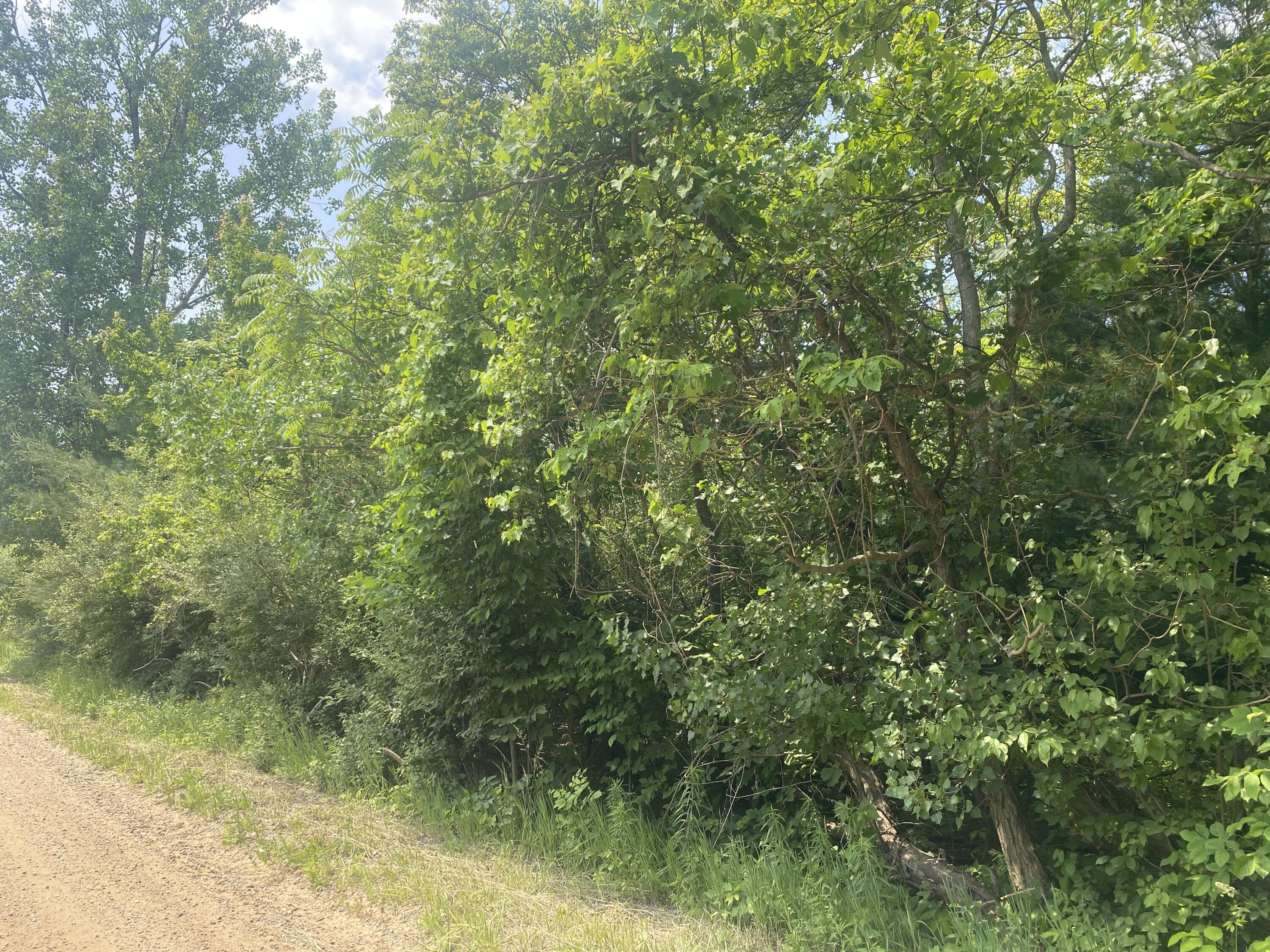 V/l N 55th Street-a Grand Junction MI 49056