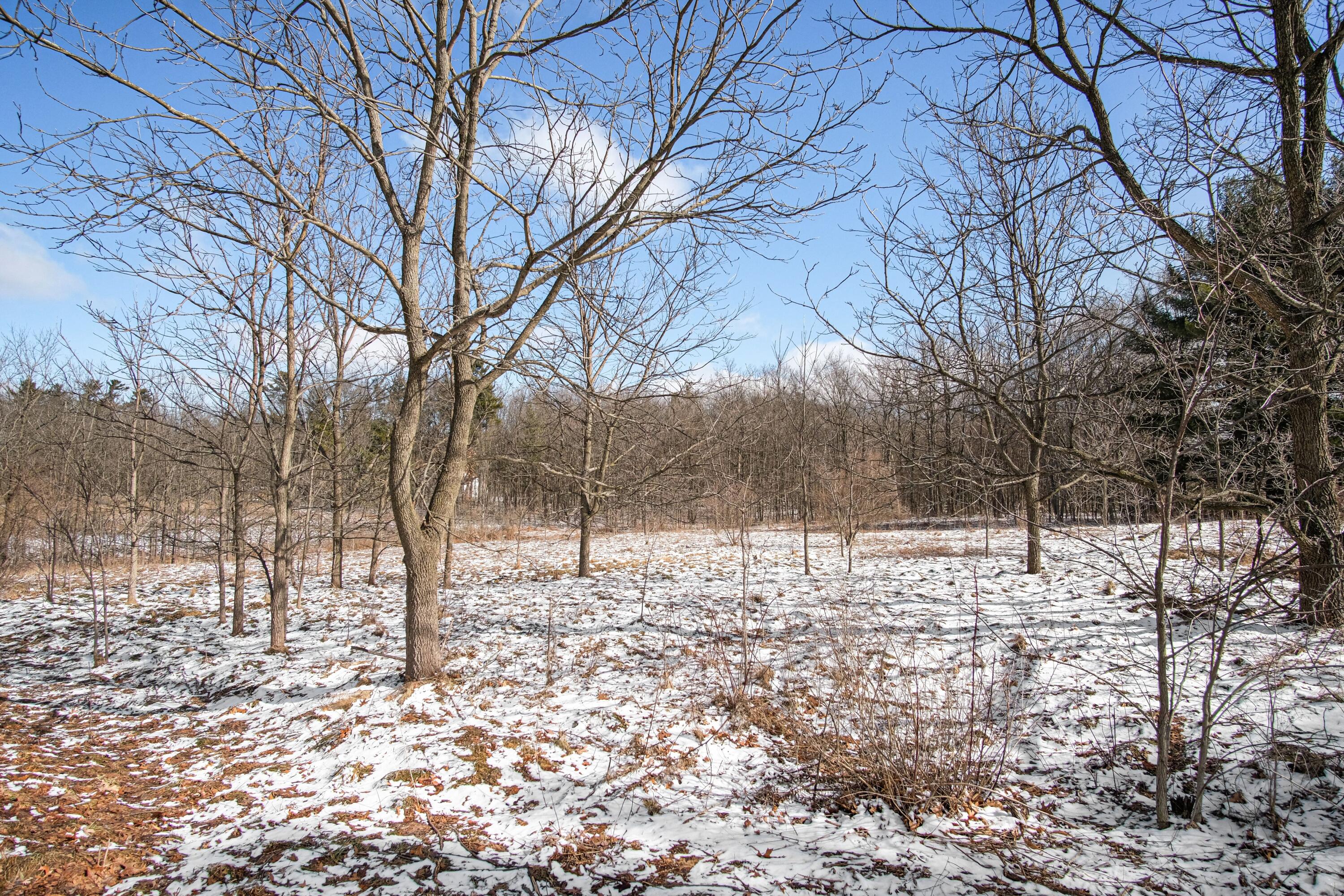 11450 Tefft Avenue NE Rockford MI 49341
