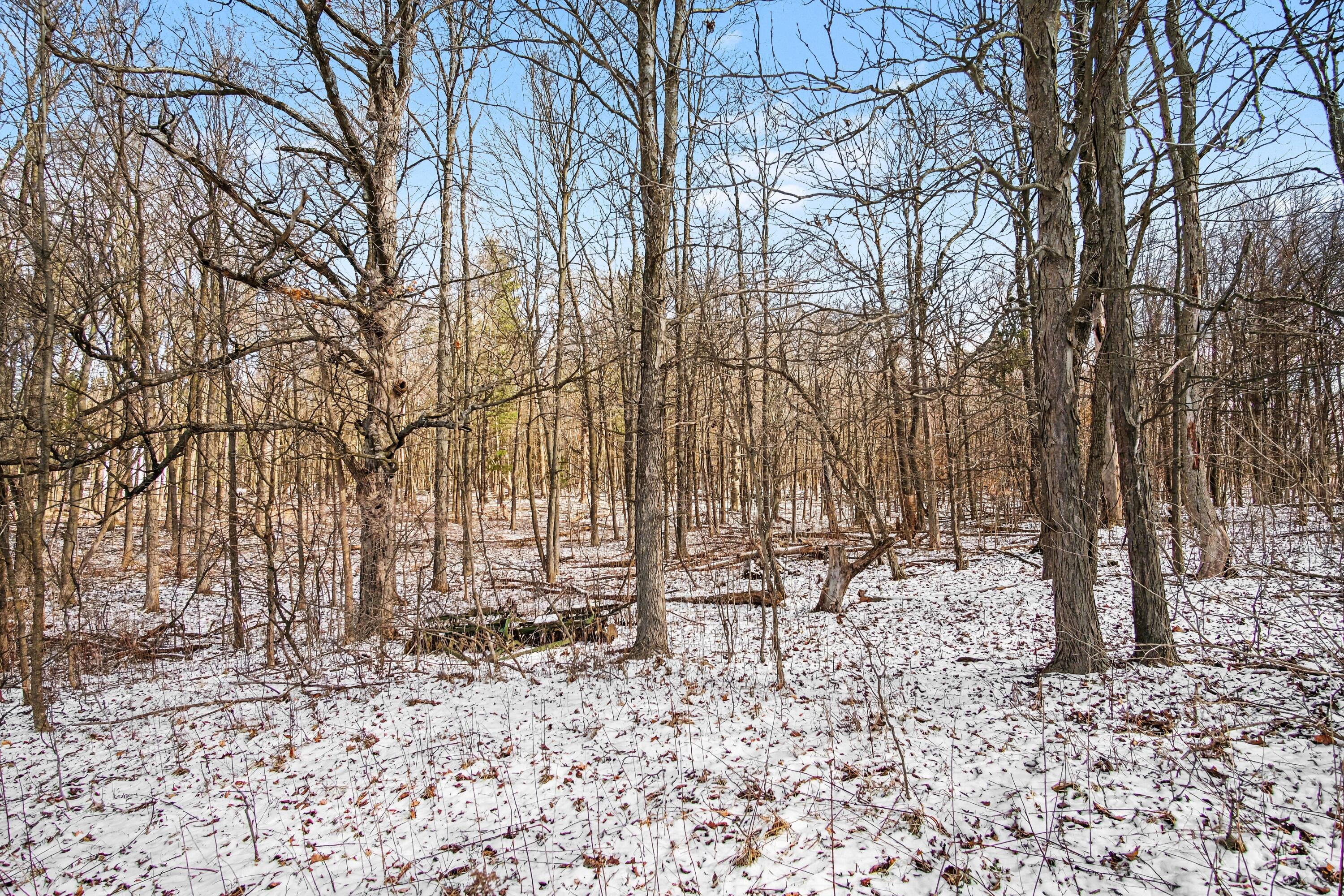 11450 Tefft Avenue NE Rockford MI 49341