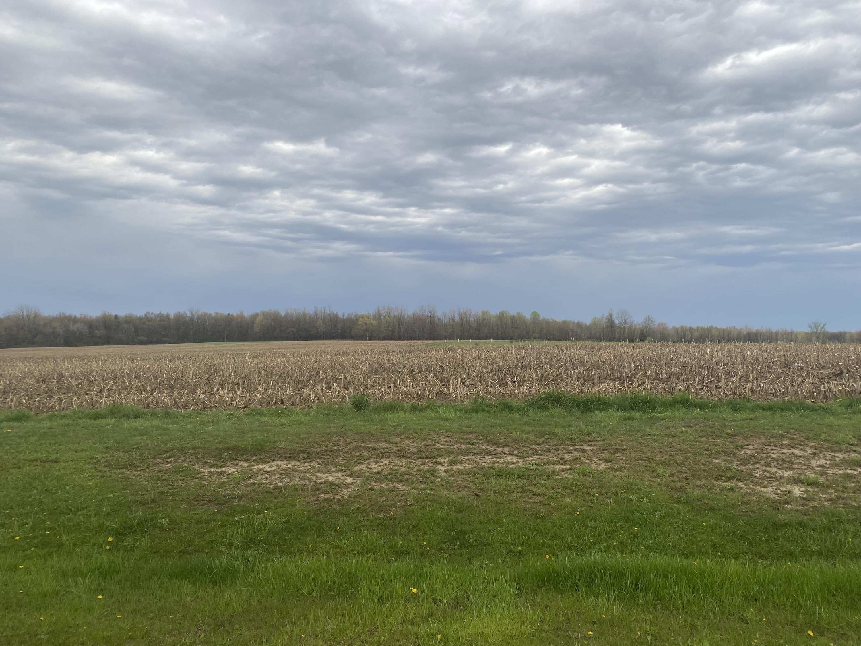 V/l S 16th Avenue Grand Junction MI 49056