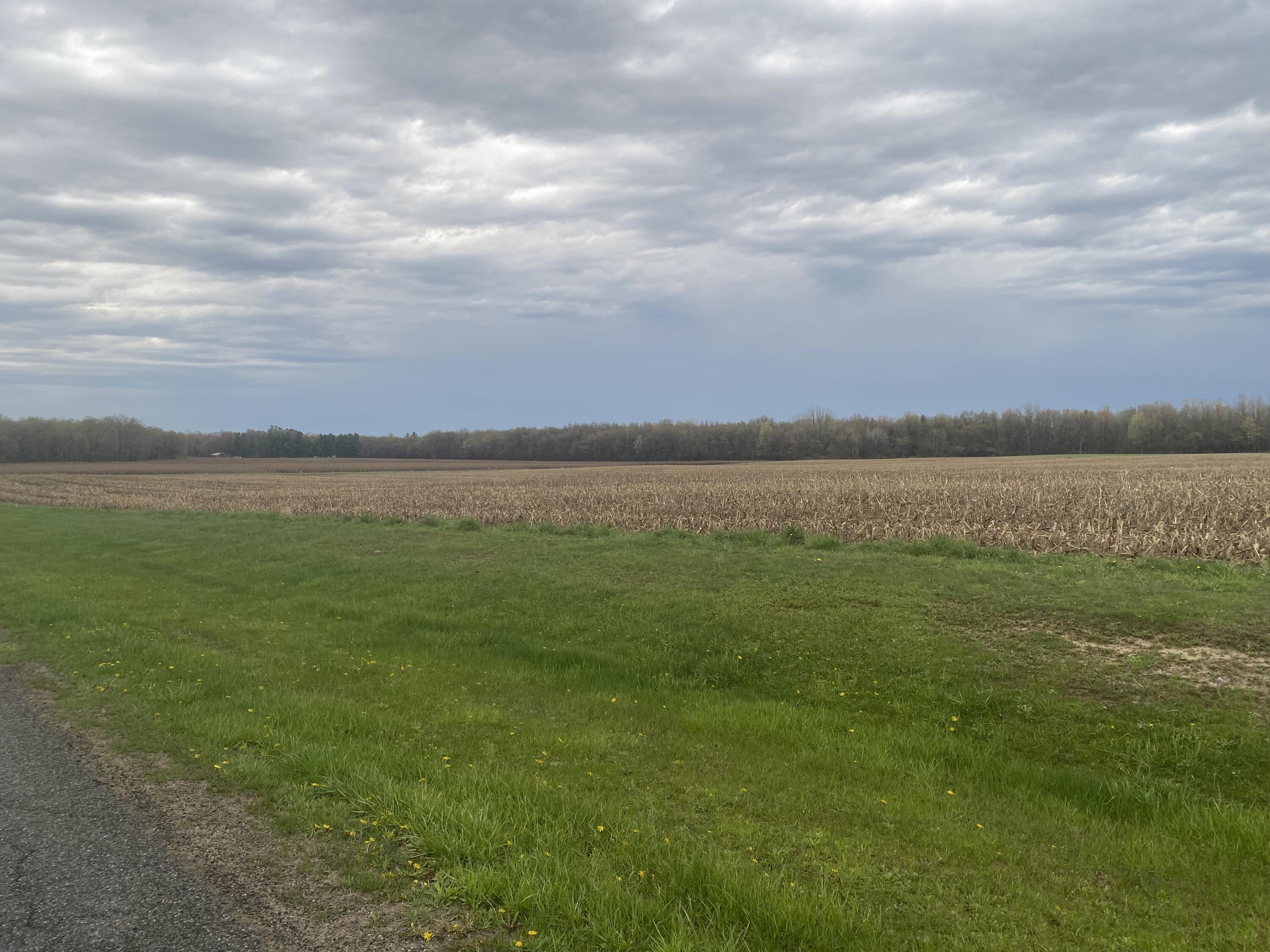V/l S 16th Avenue Grand Junction MI 49056