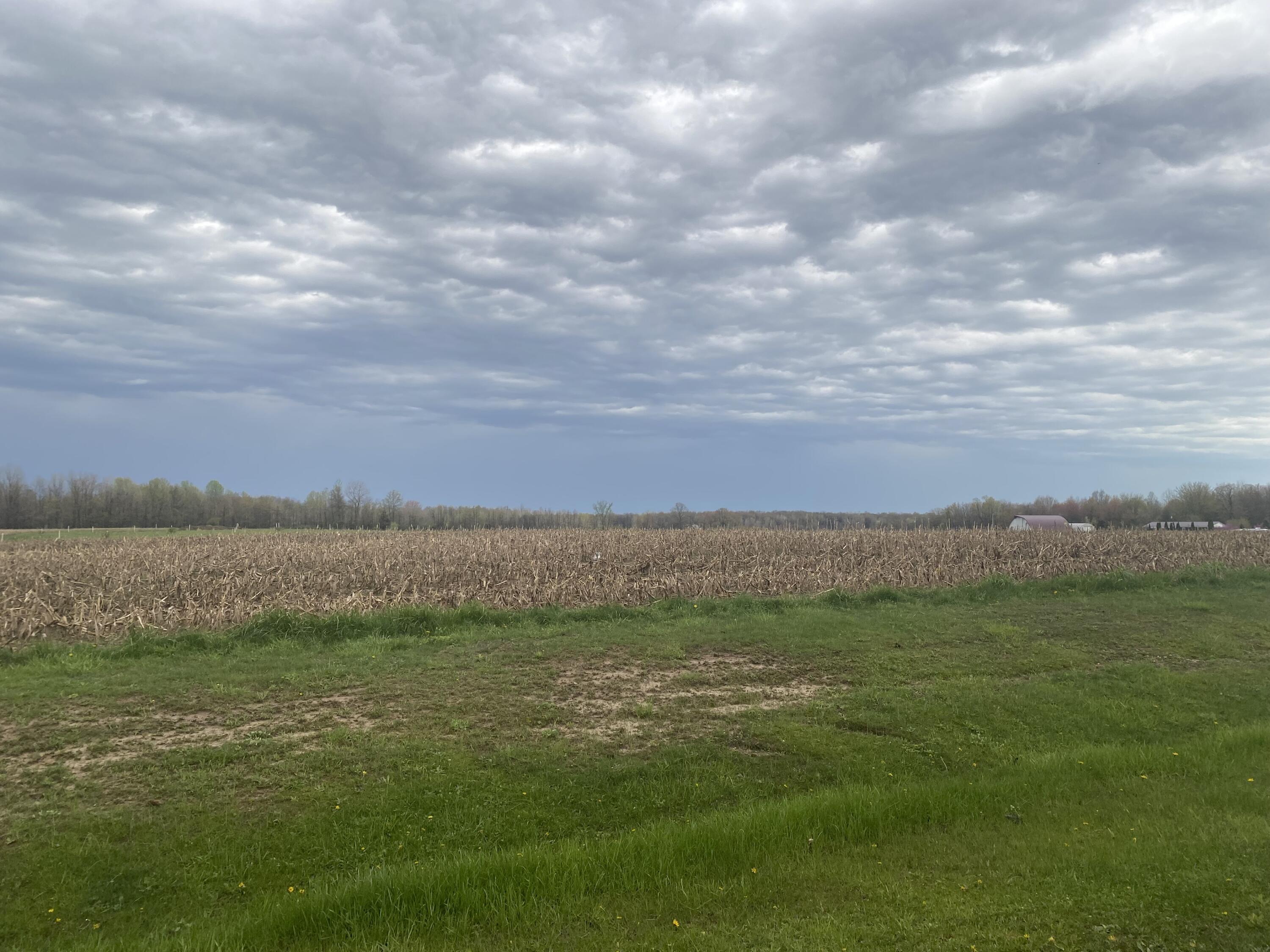 V/l S 16th Avenue Grand Junction MI 49056