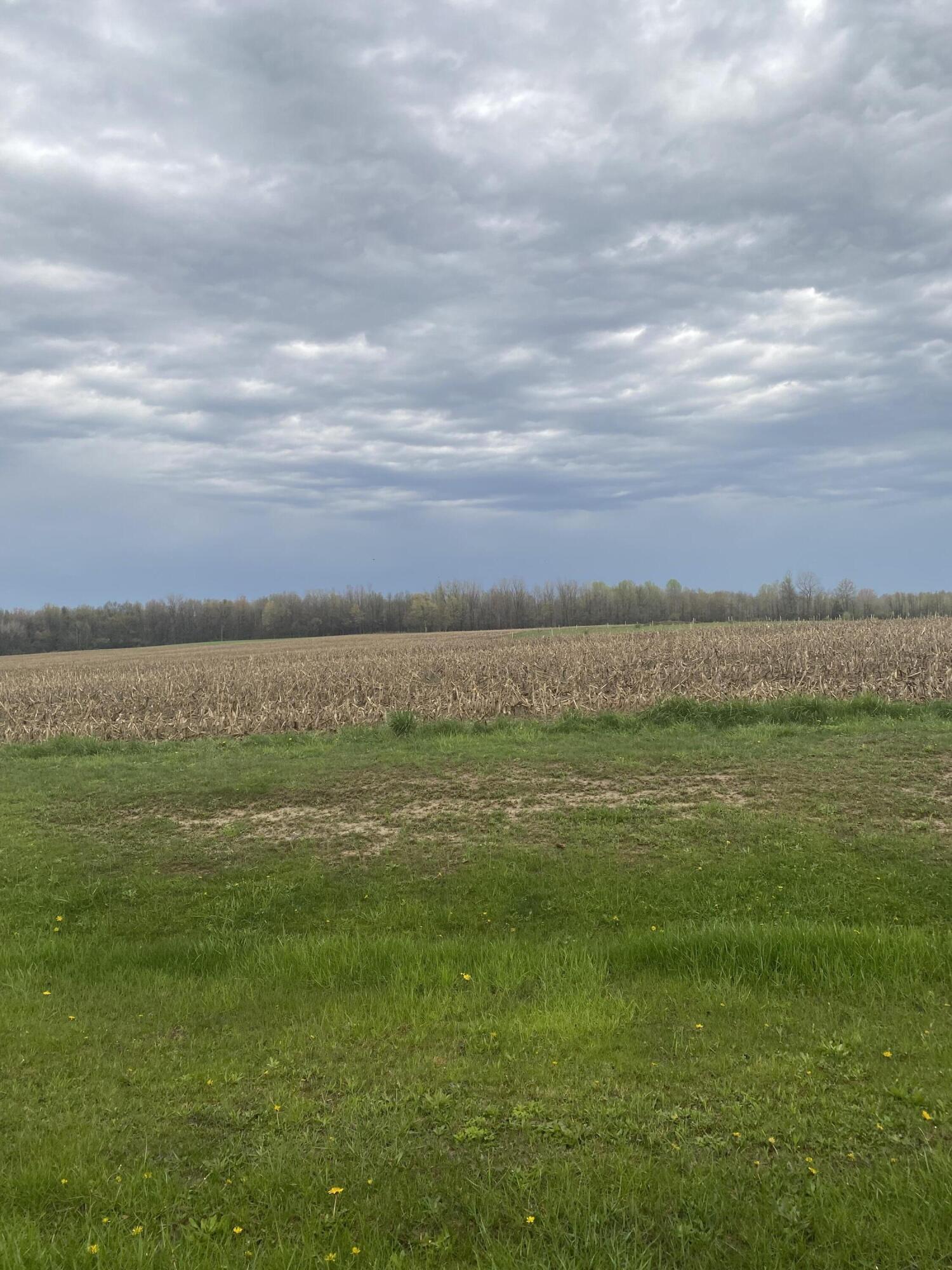 V/l S 16th Avenue Grand Junction MI 49056