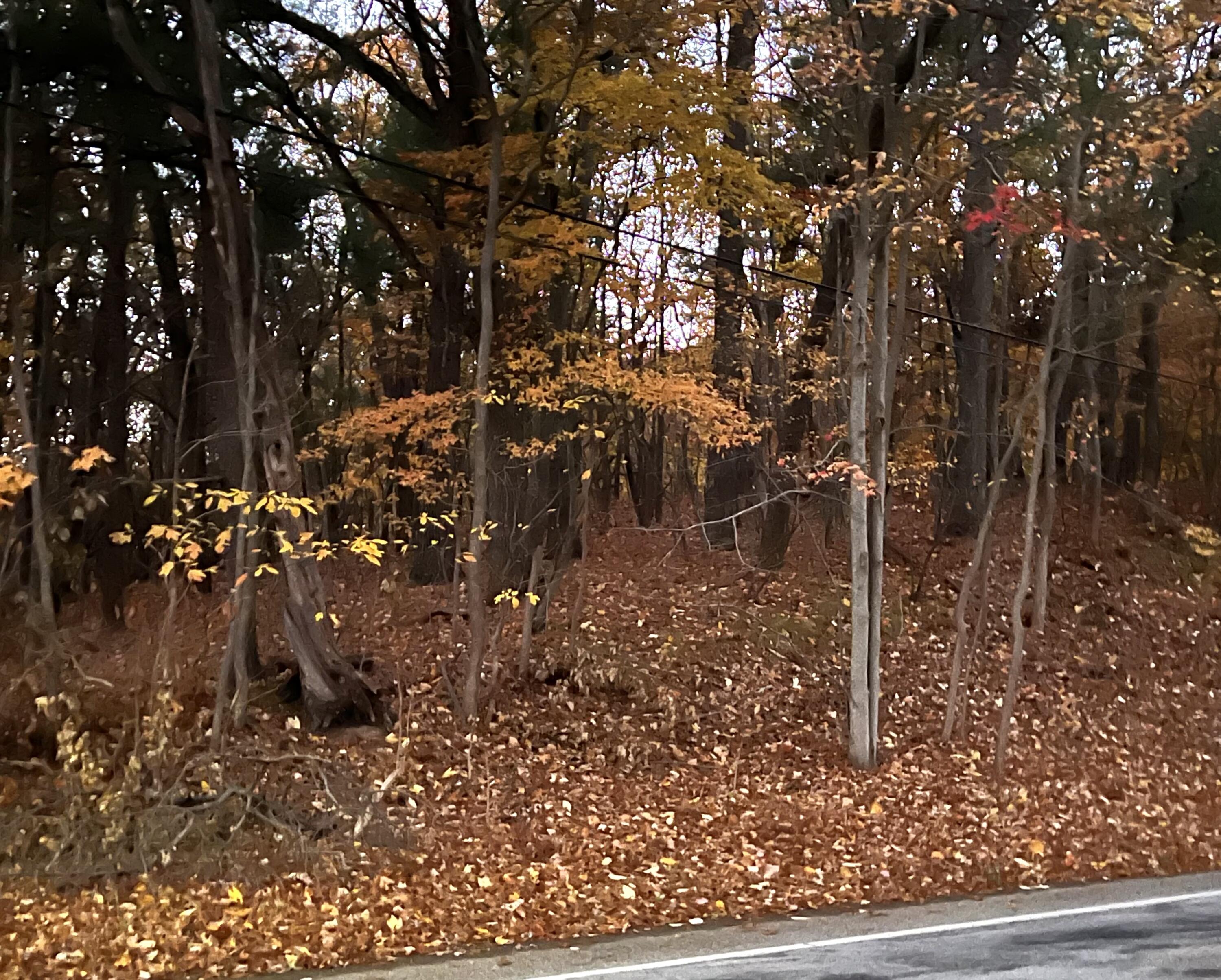 7087 Black Lake Road Norton Shores MI 49444