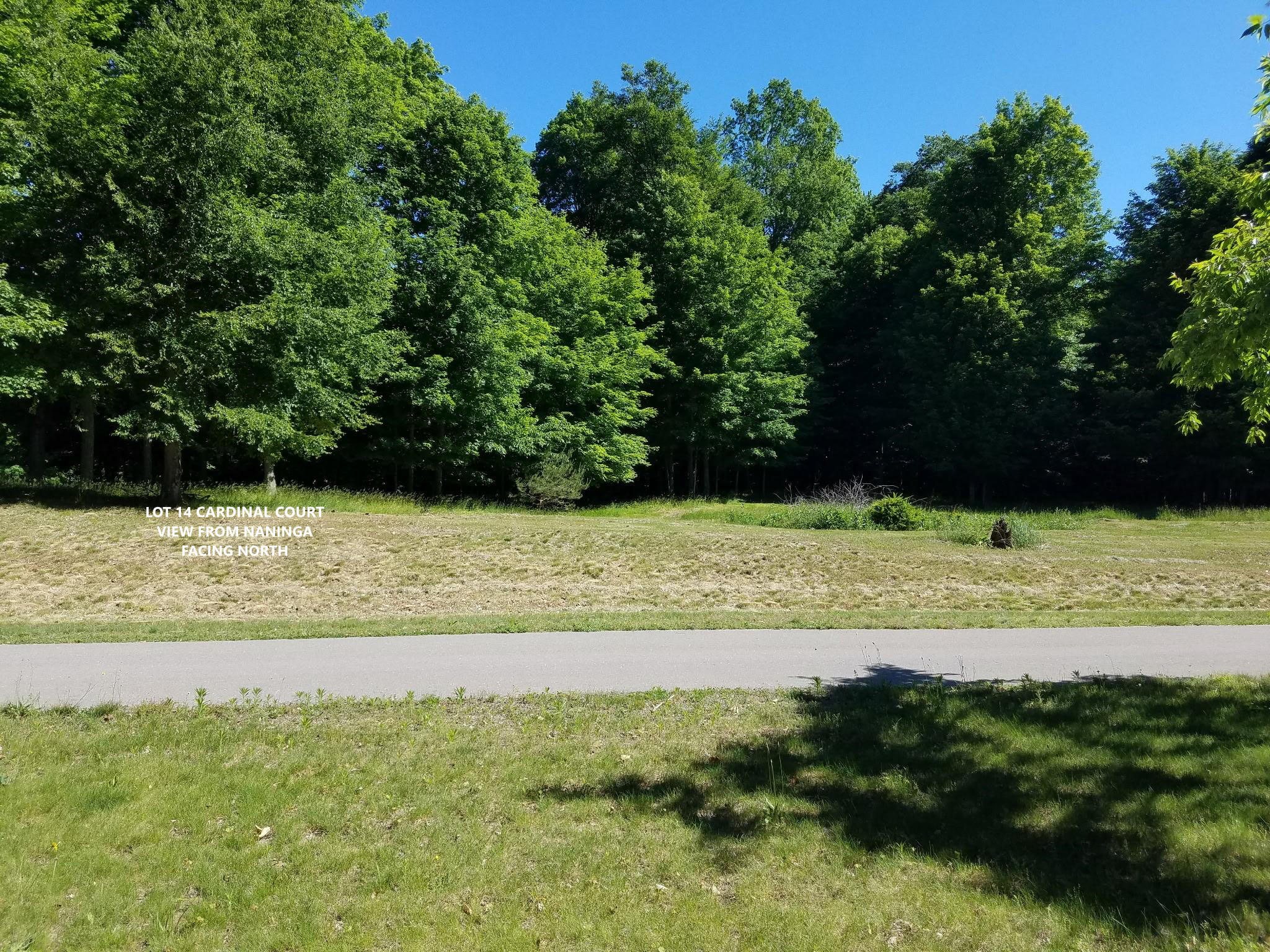 5816 N Cardinal Court Ludington MI 49431