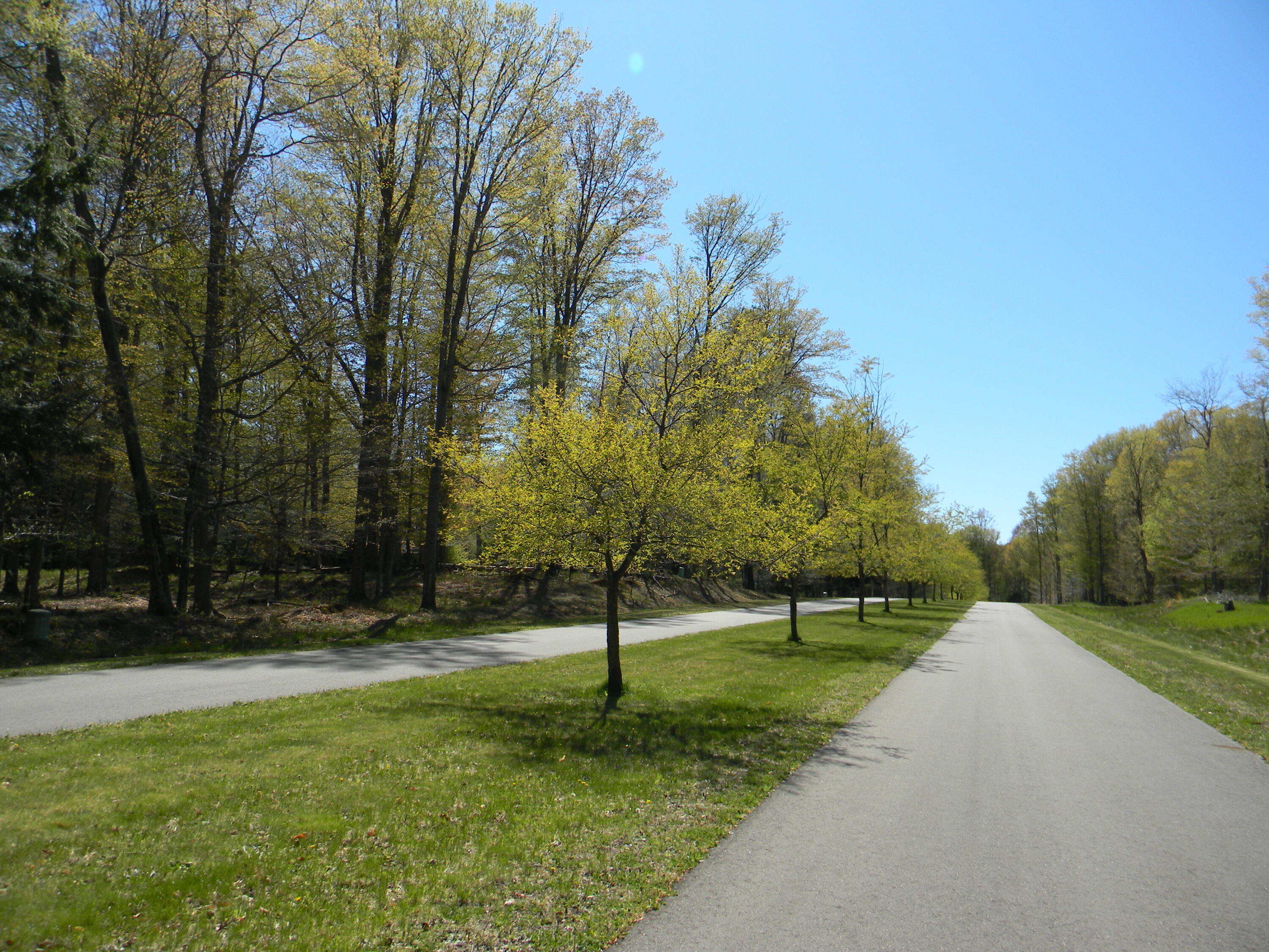 5860 N Cardinal Court Ludington MI 49431