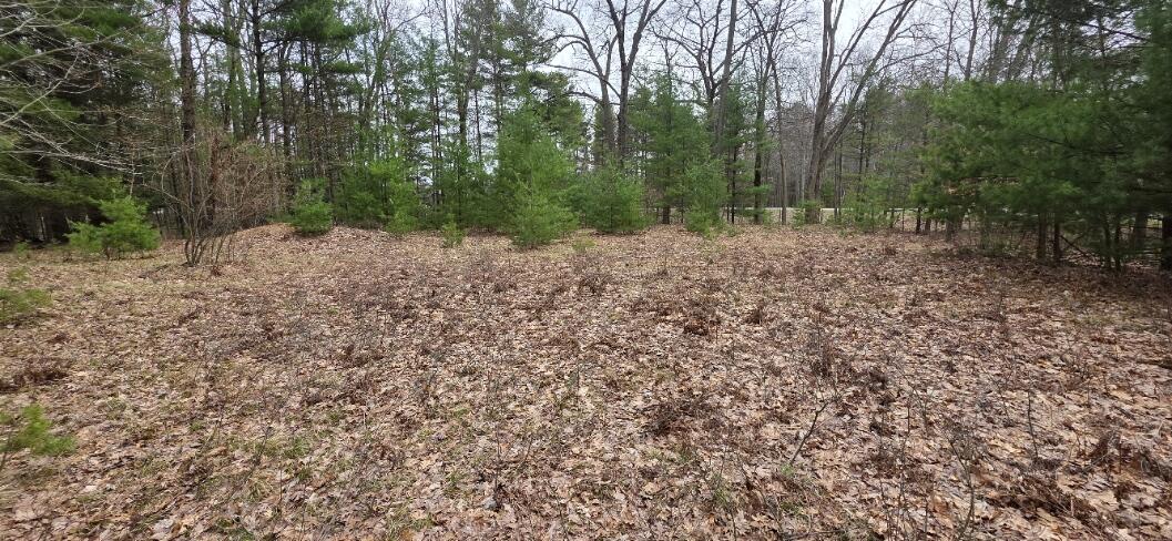 5764 W Bryant Road Ludington MI 49431