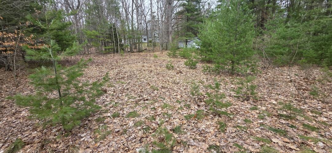 5764 W Bryant Road Ludington MI 49431