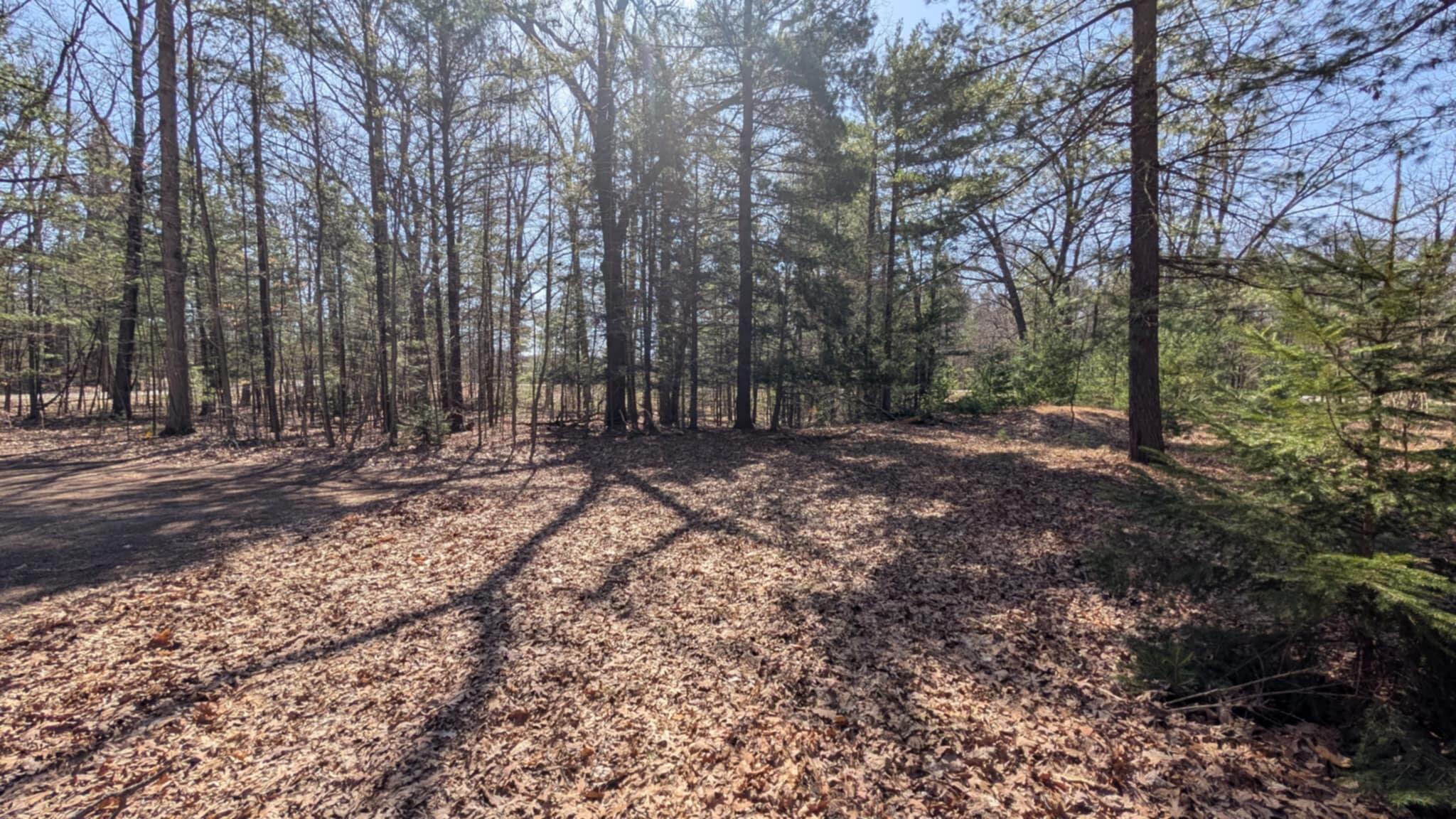 5764 W Bryant Road Ludington MI 49431
