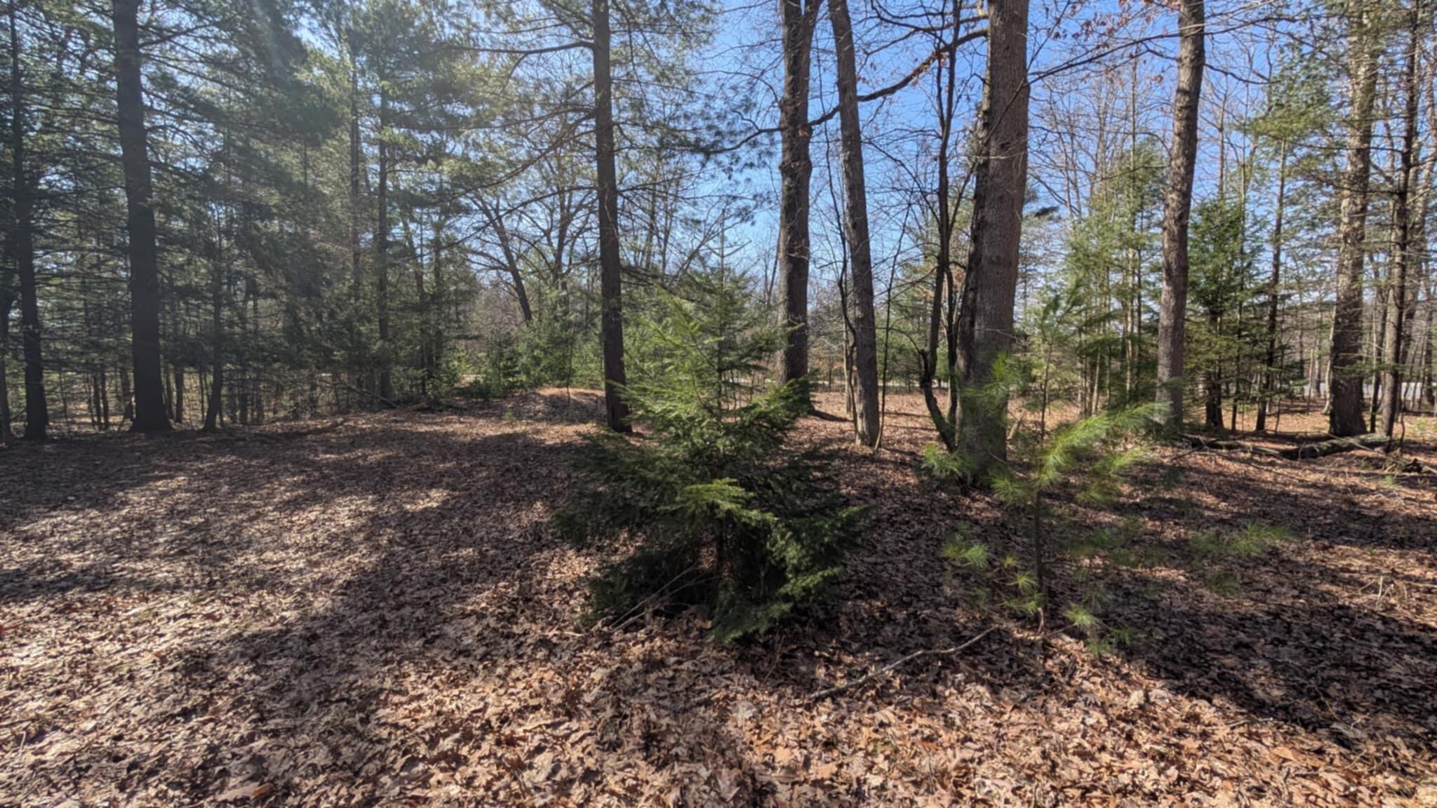 5764 W Bryant Road Ludington MI 49431