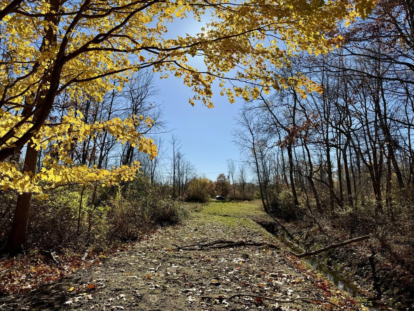00 Wiley Road Saugatuck MI 49453