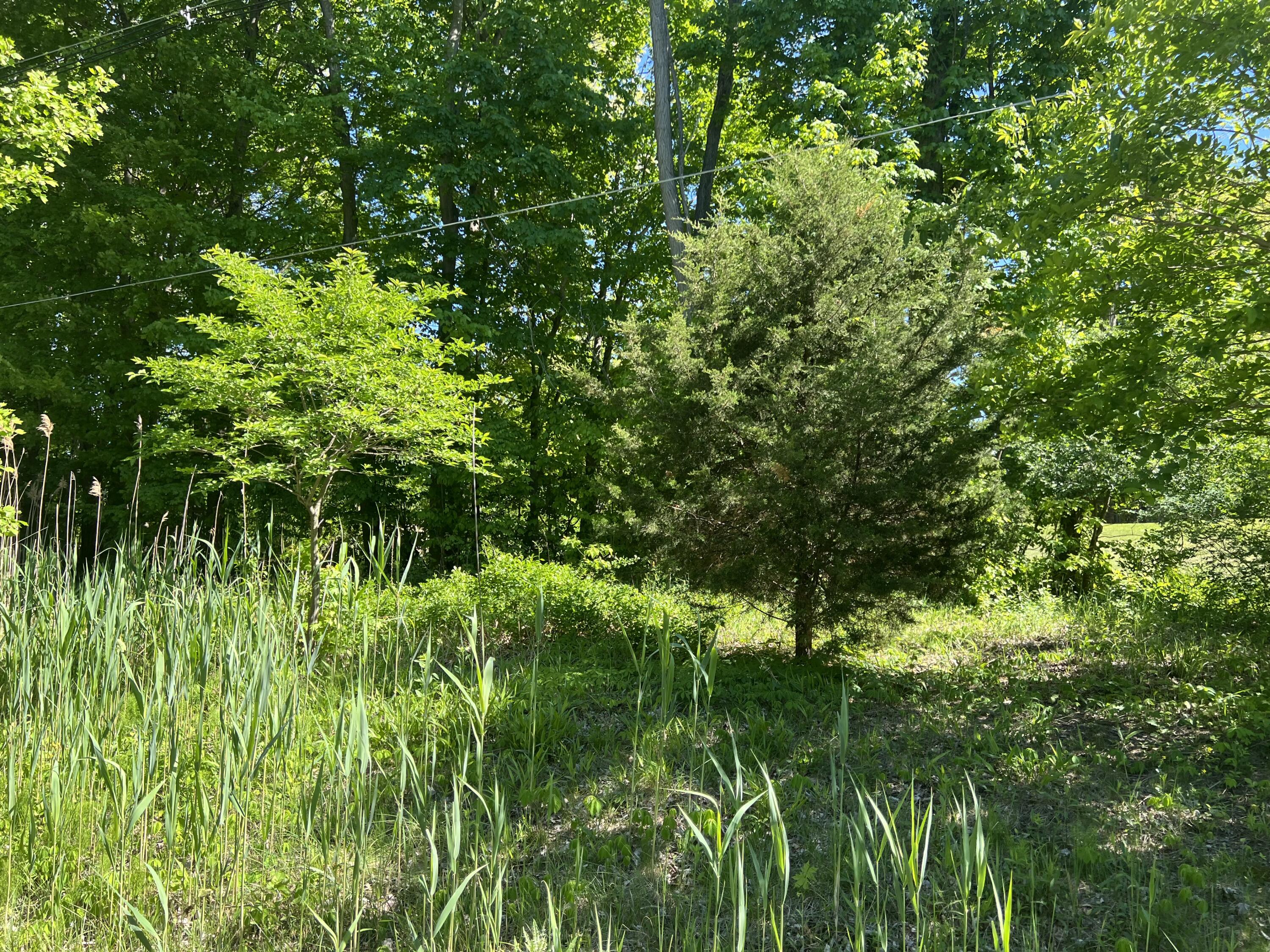 19499 Kluver Road New Buffalo MI 49117