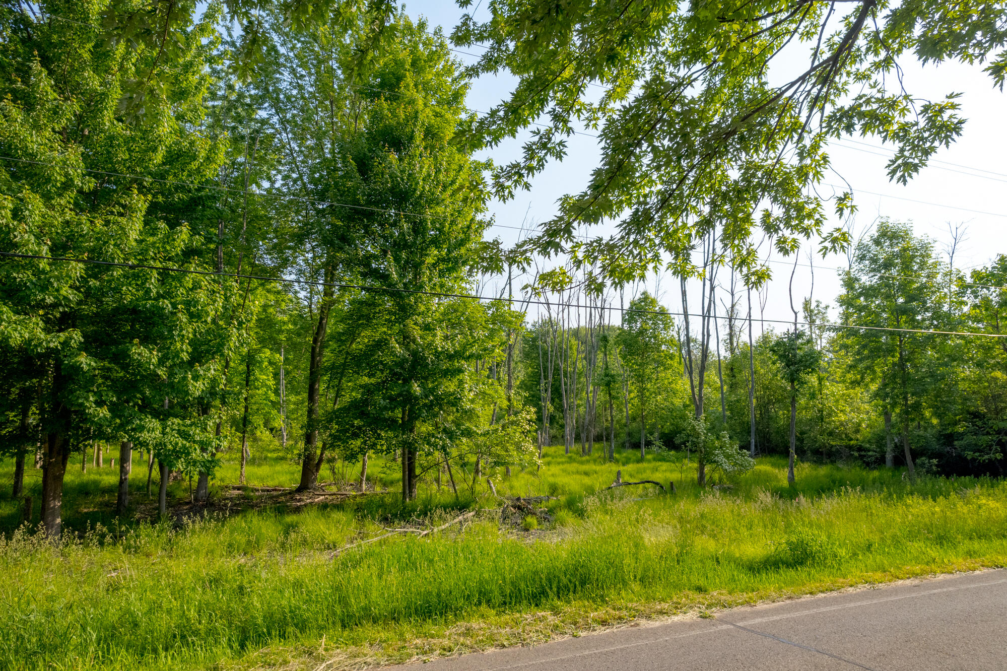 0 Wiley Road Douglas MI 49406