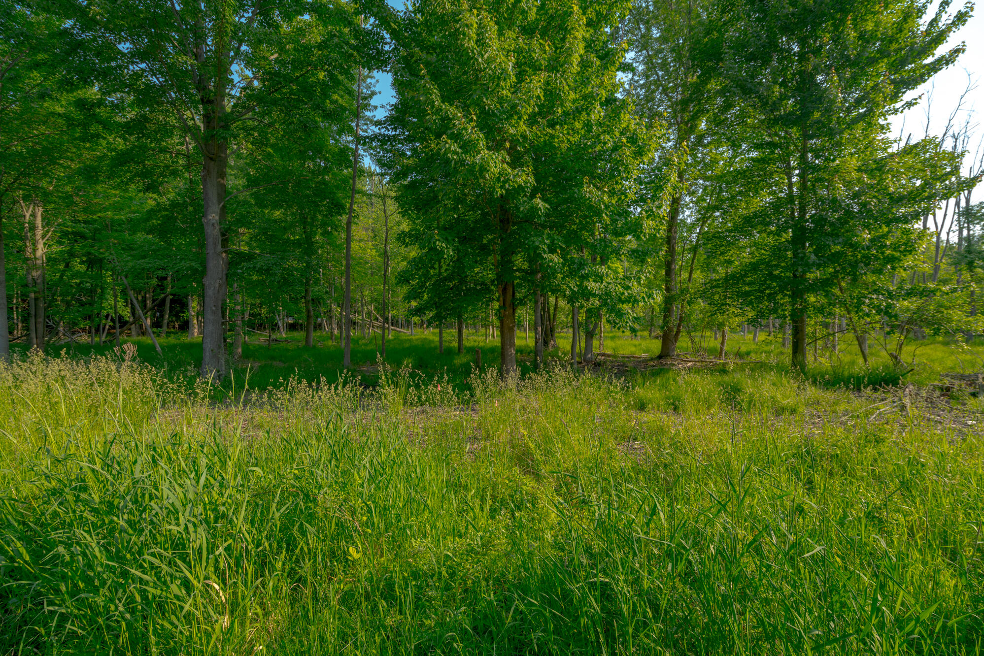 0 Wiley Road Douglas MI 49406