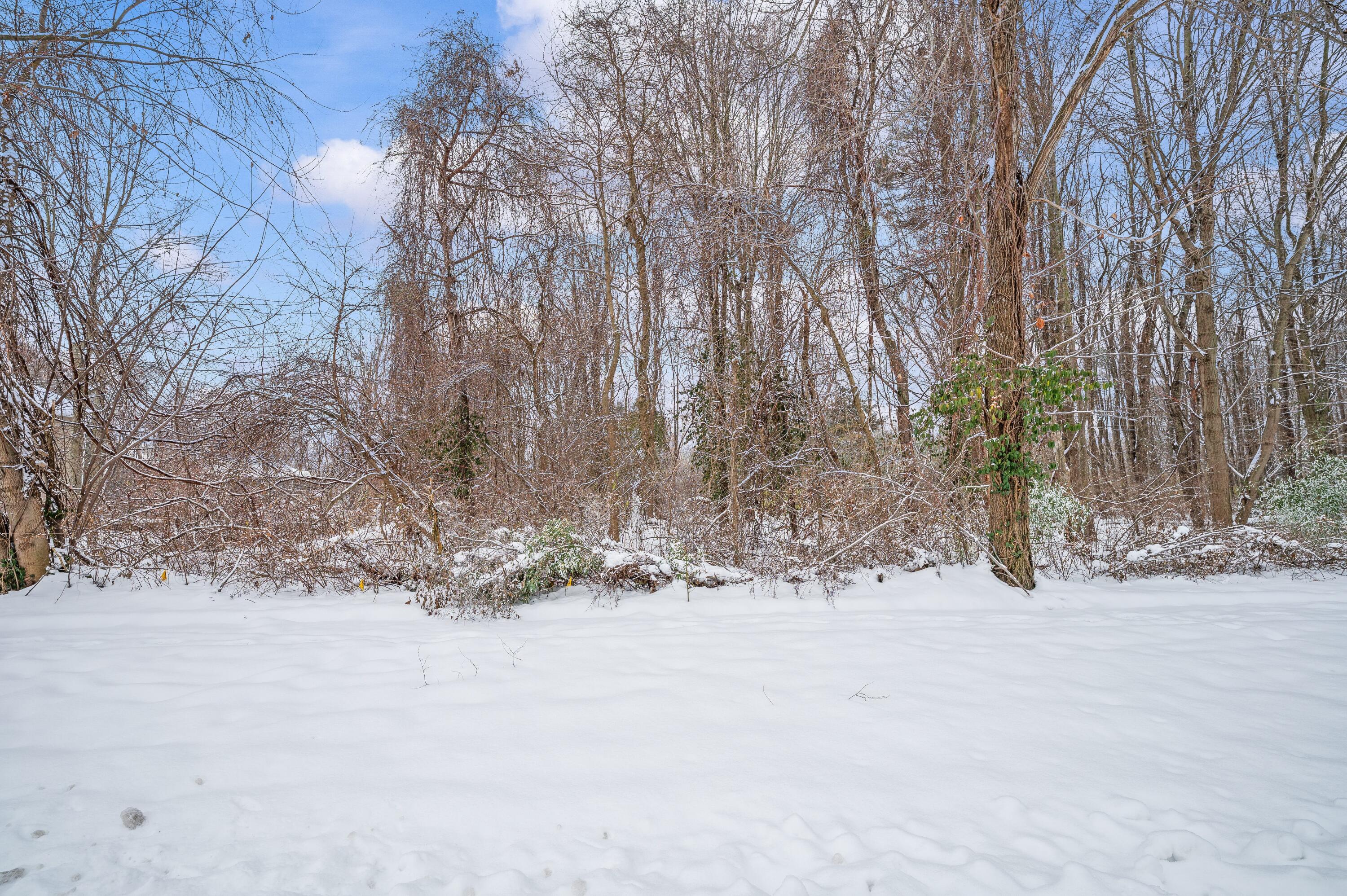 1964 N Donna Drive Stevensville MI 49127