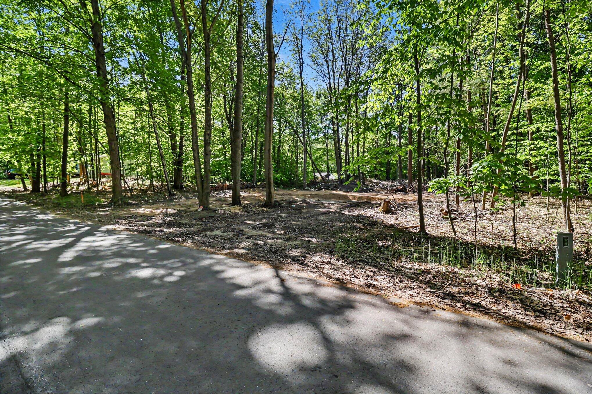 V/l Cherry Street Ludington MI 49431
