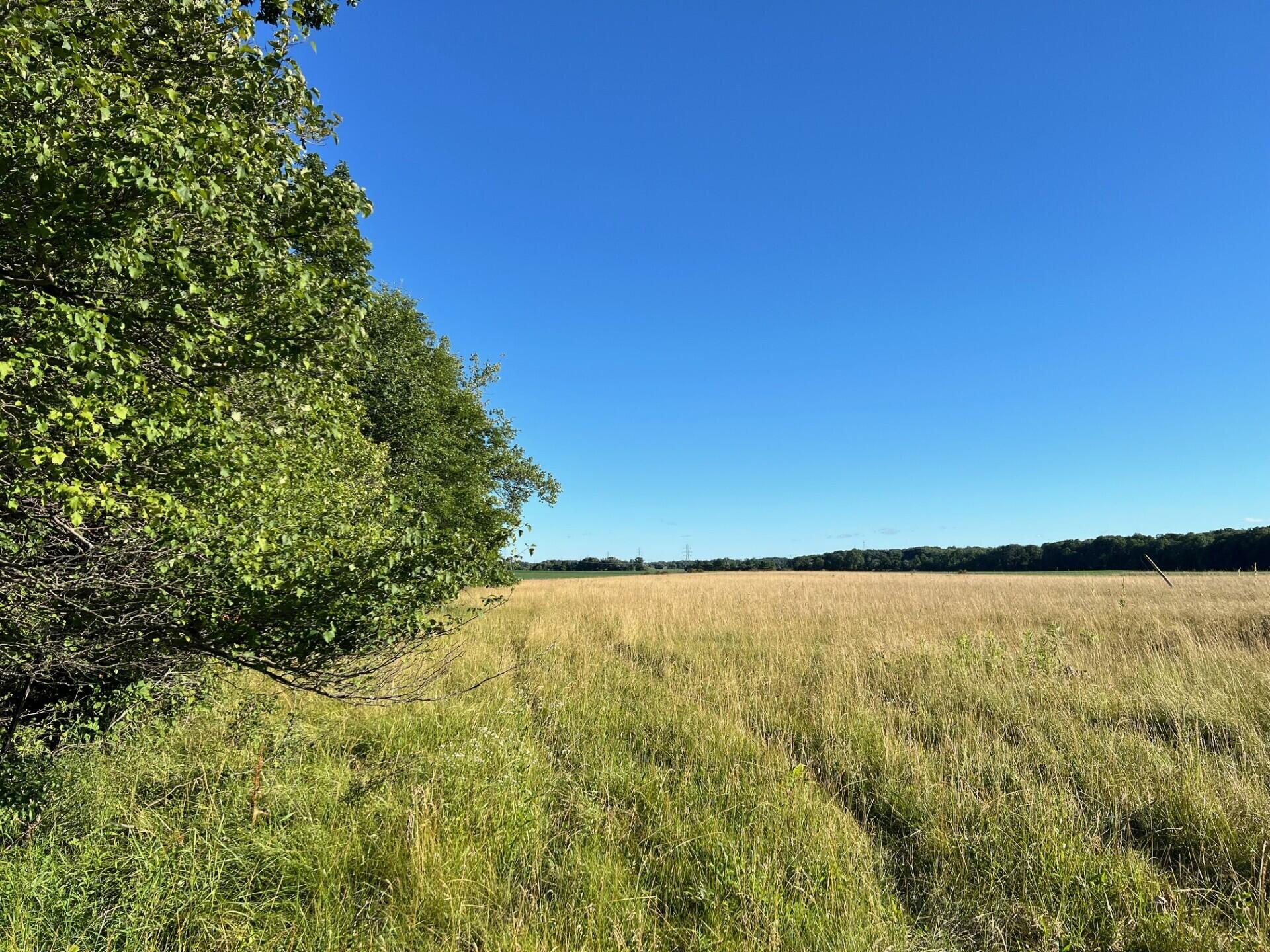 16244 Holden Road Galien MI 49113