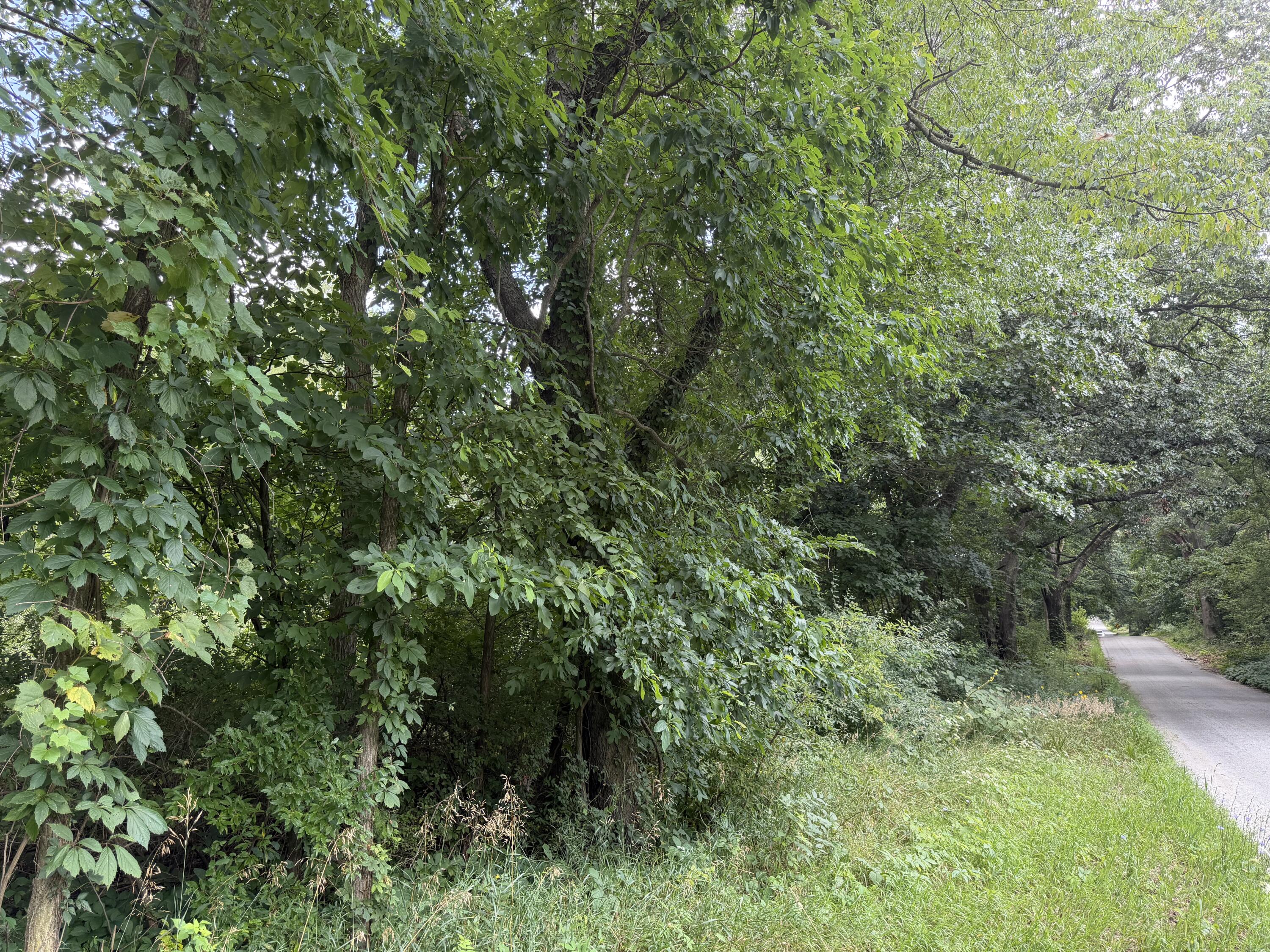 Nubour Street Dowagiac MI 49047