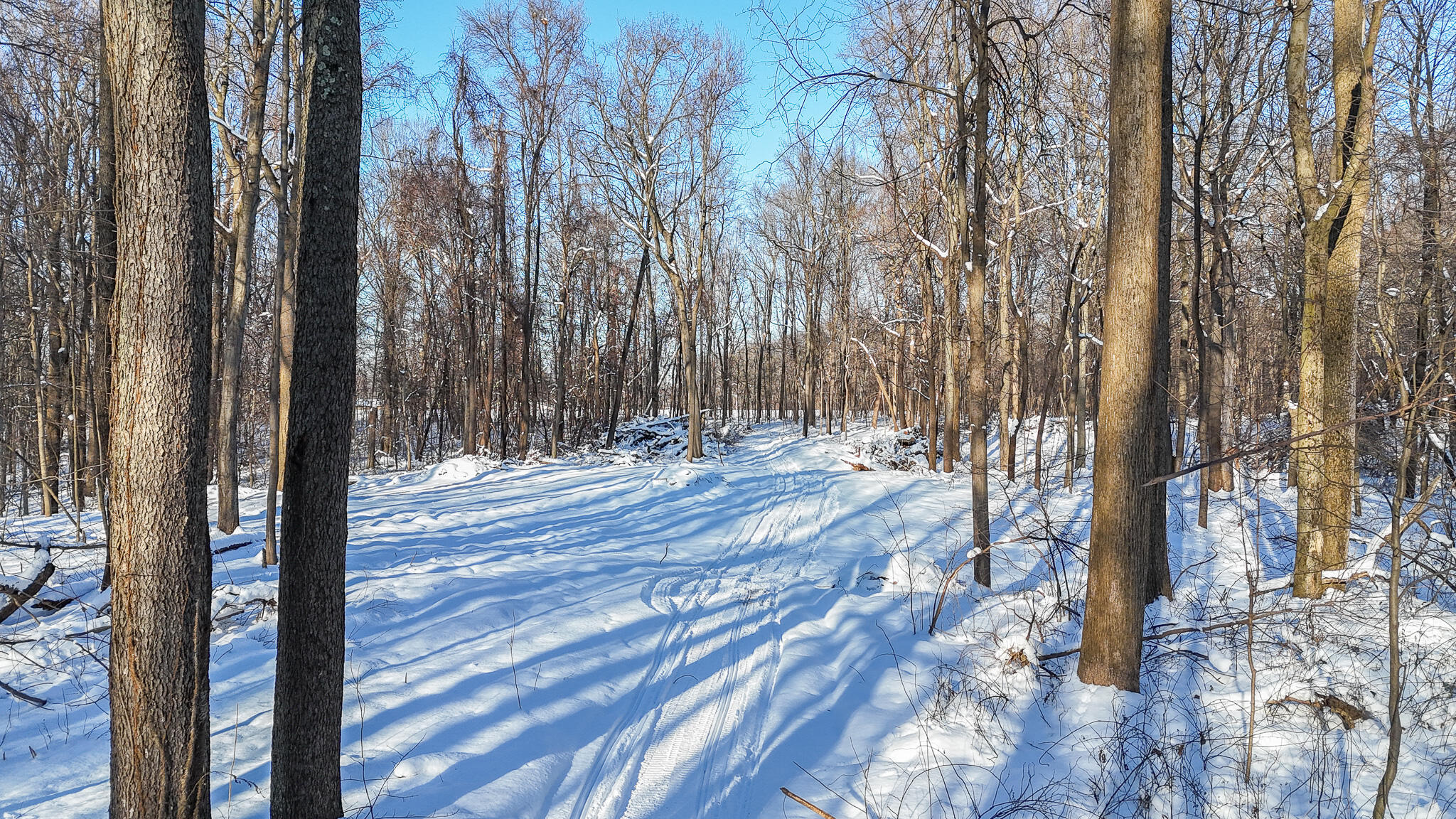 4 Forest Road Dowagiac MI 49047