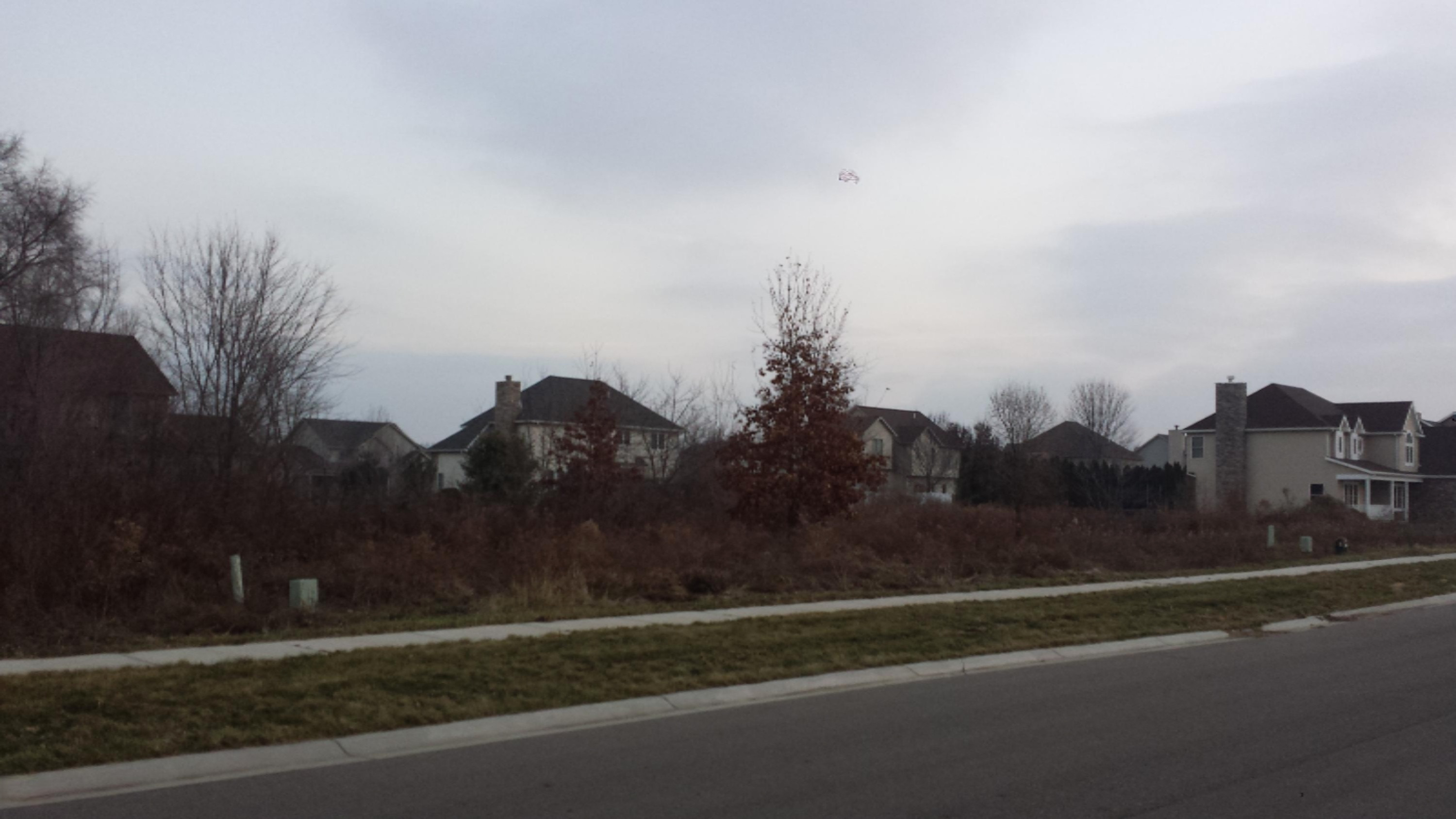 2453 Perry Drive Stevensville MI 49127