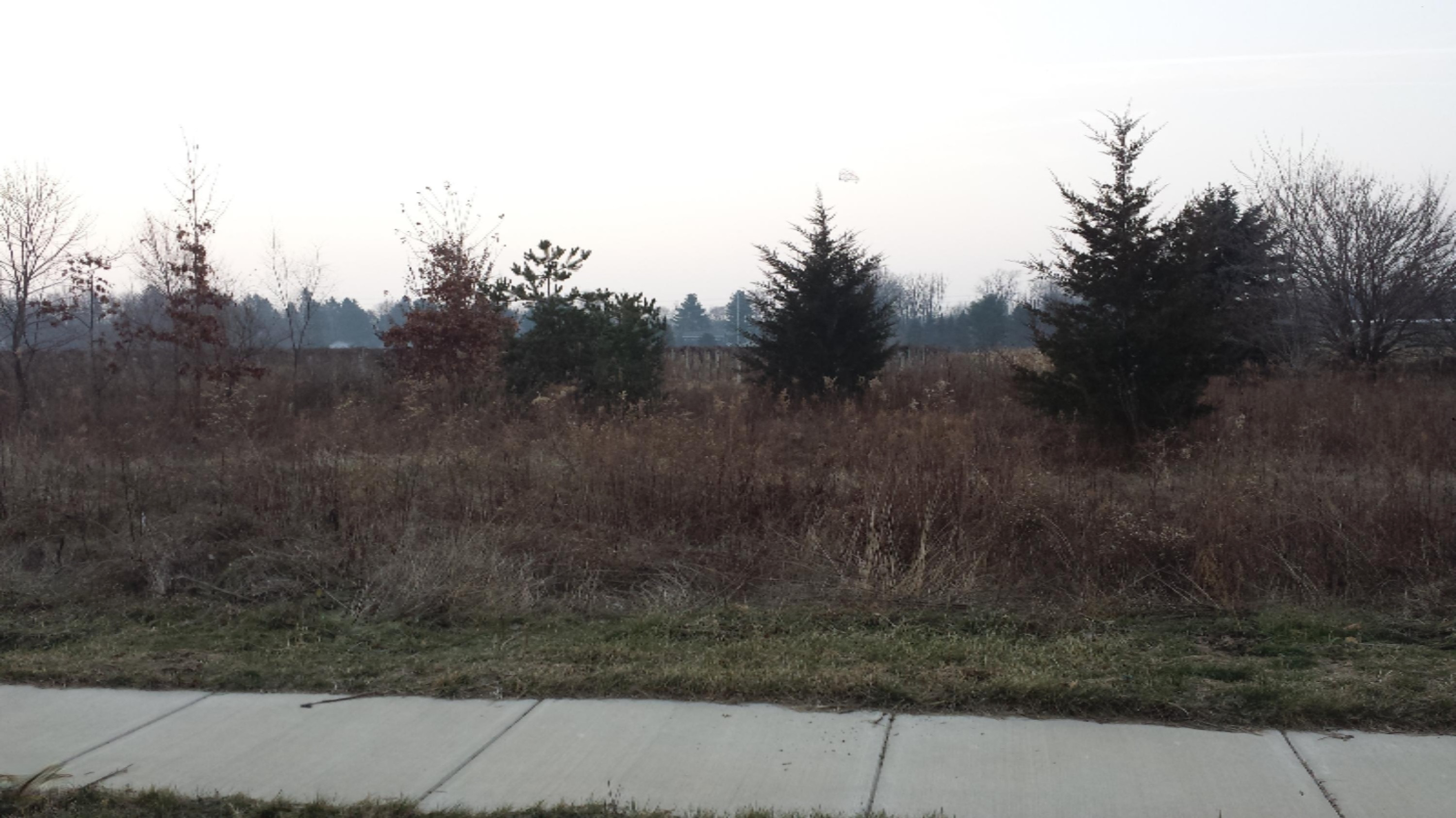 2453 Perry Drive Stevensville MI 49127