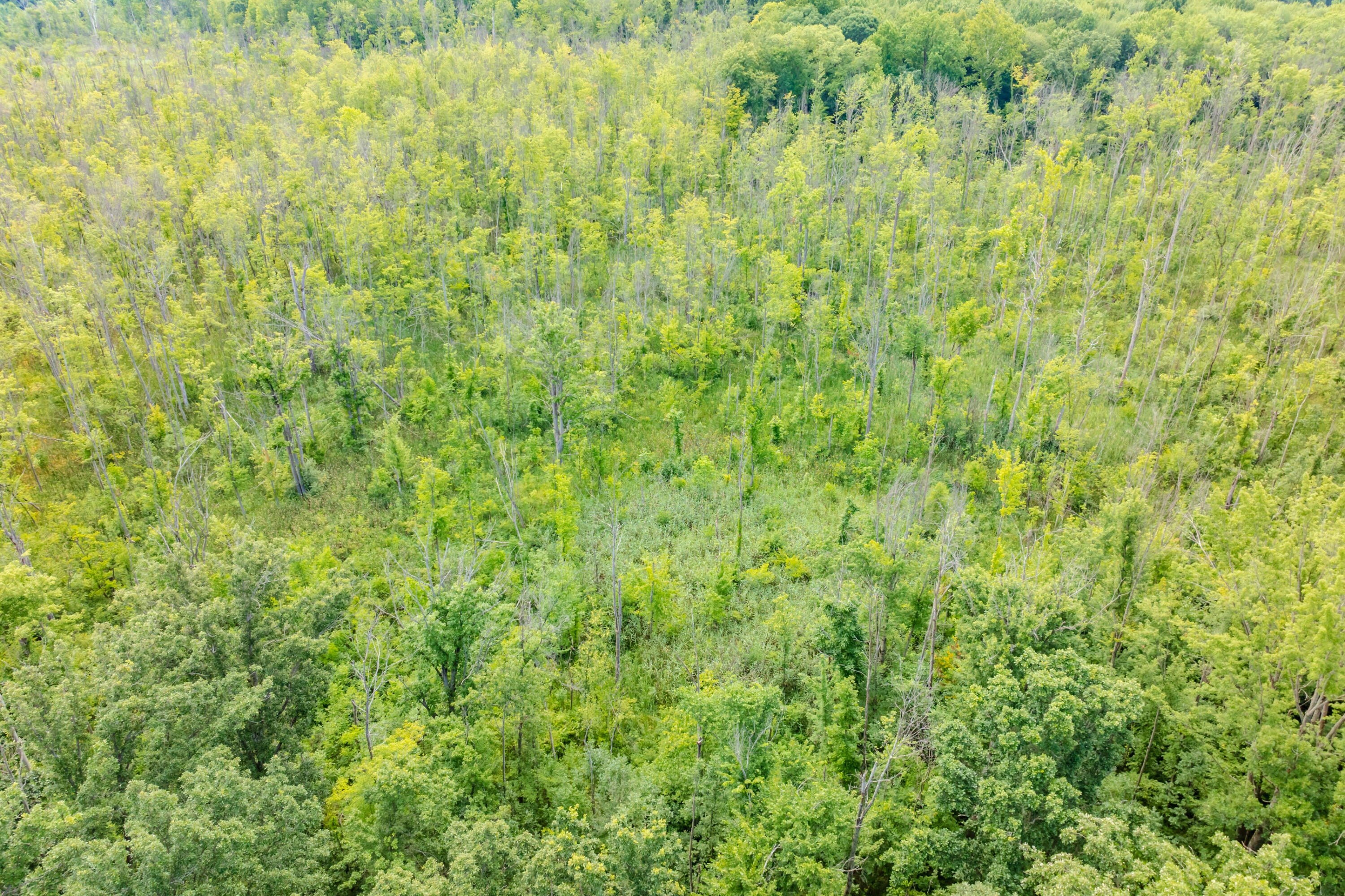 45 Acres 108th Avenue Allegan MI 49010