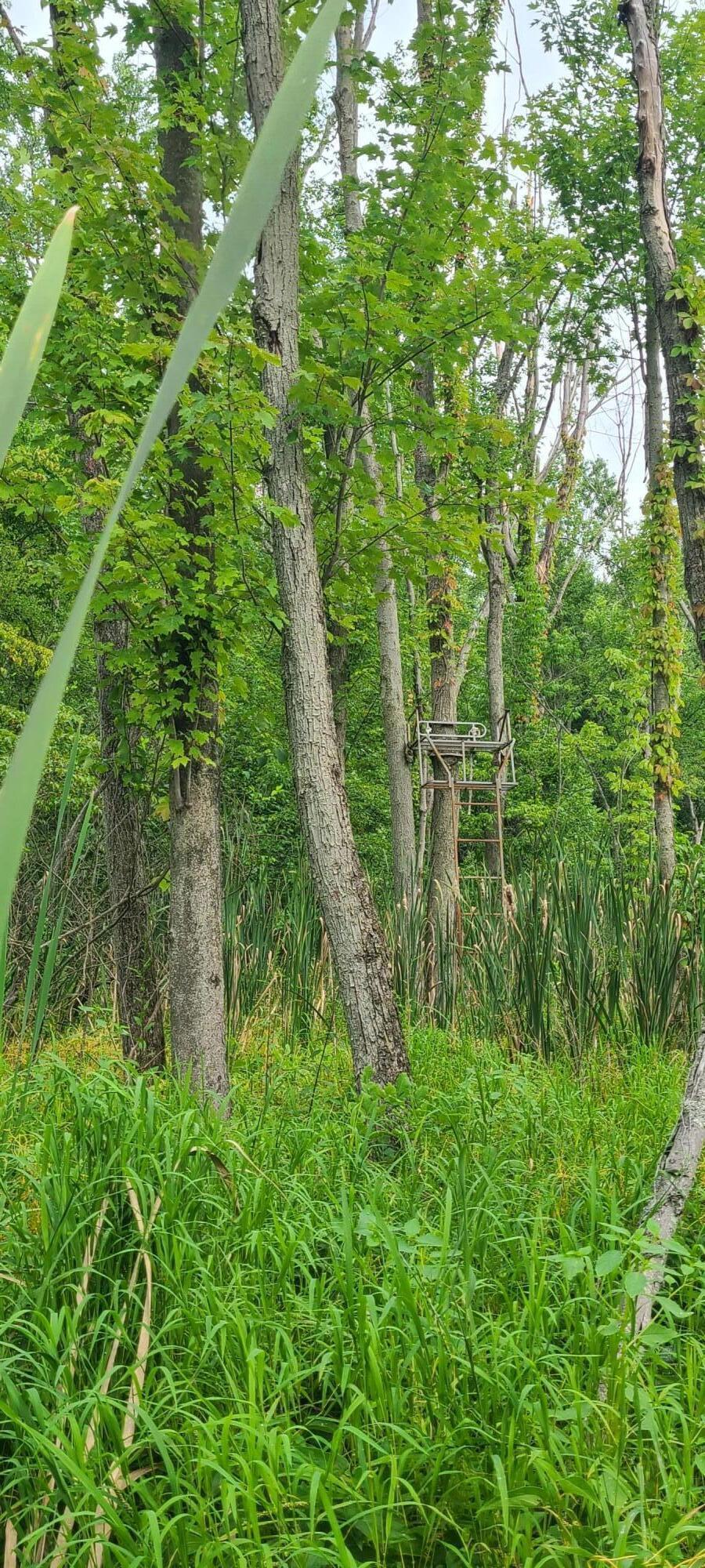 45 Acres 108th Avenue Allegan MI 49010