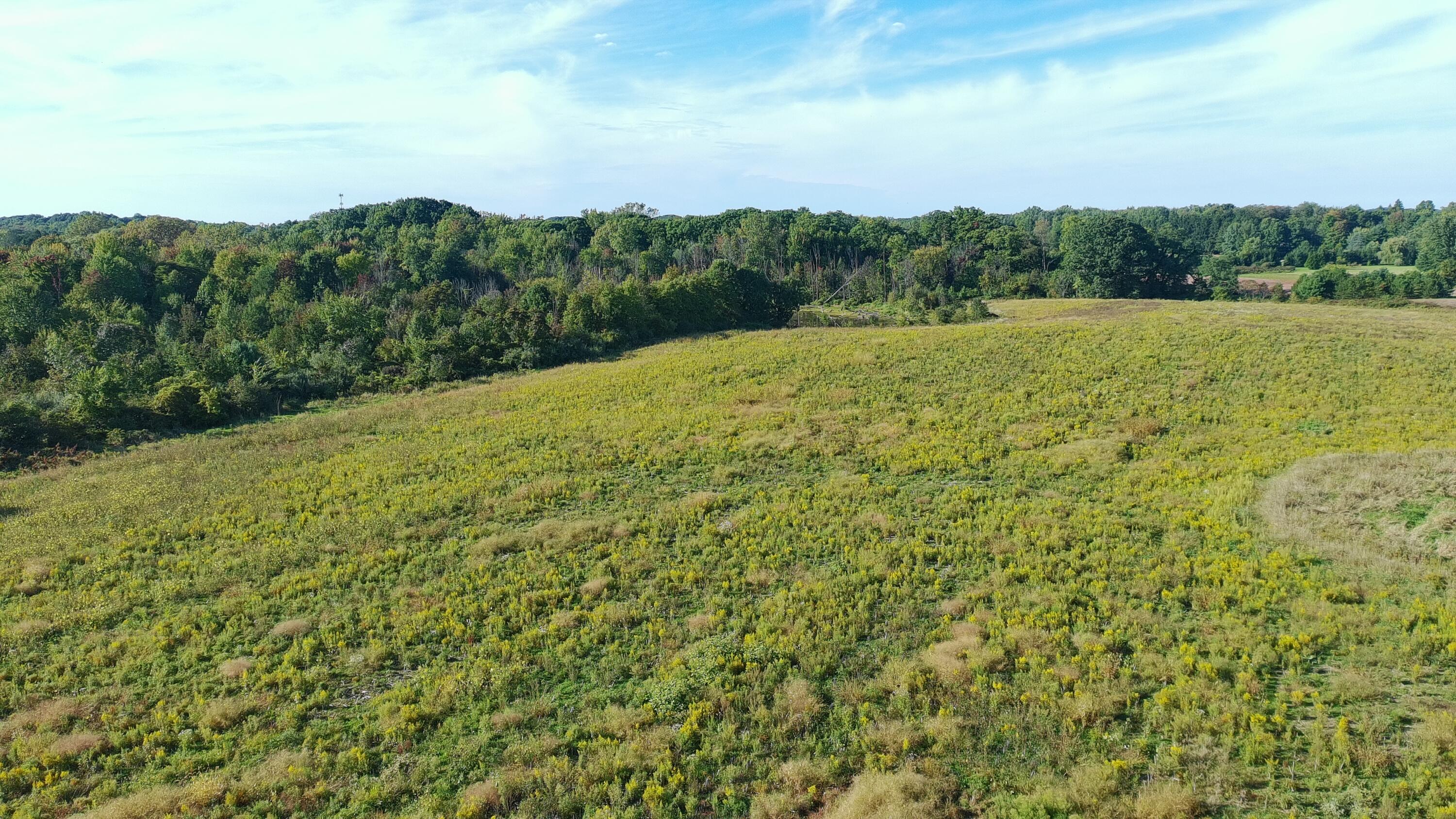 5710 Riverside Road Coloma MI 49038