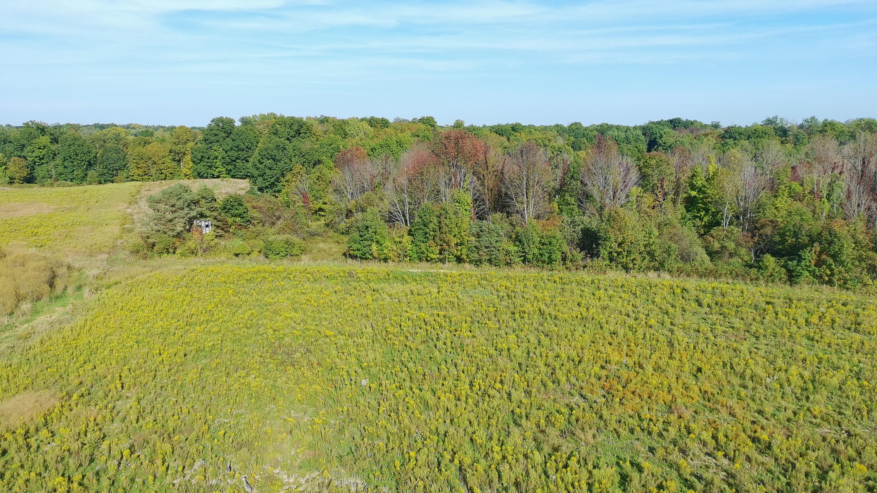 5710 Riverside Road Coloma MI 49038