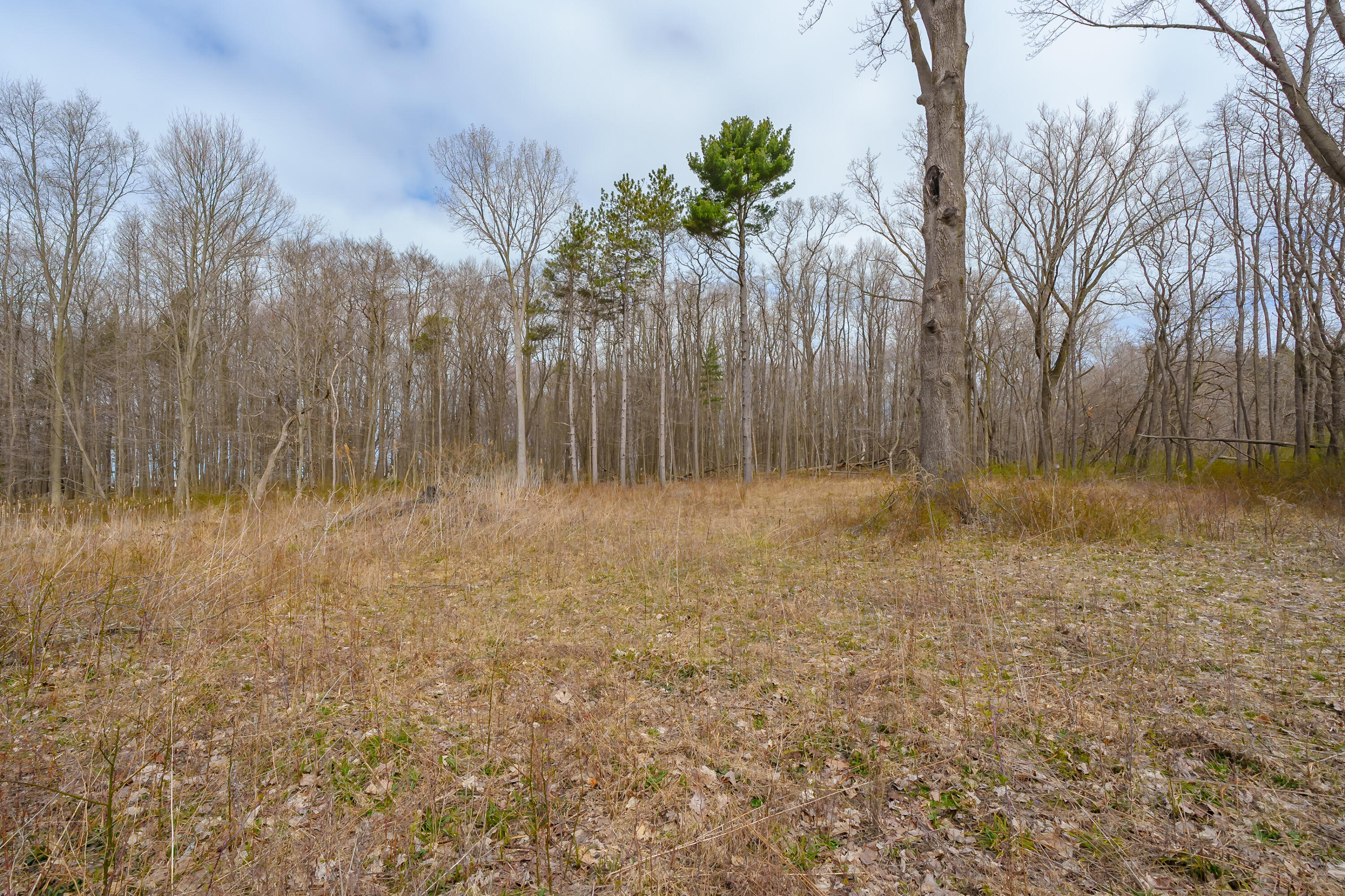 4890 M-63 Coloma MI 49038